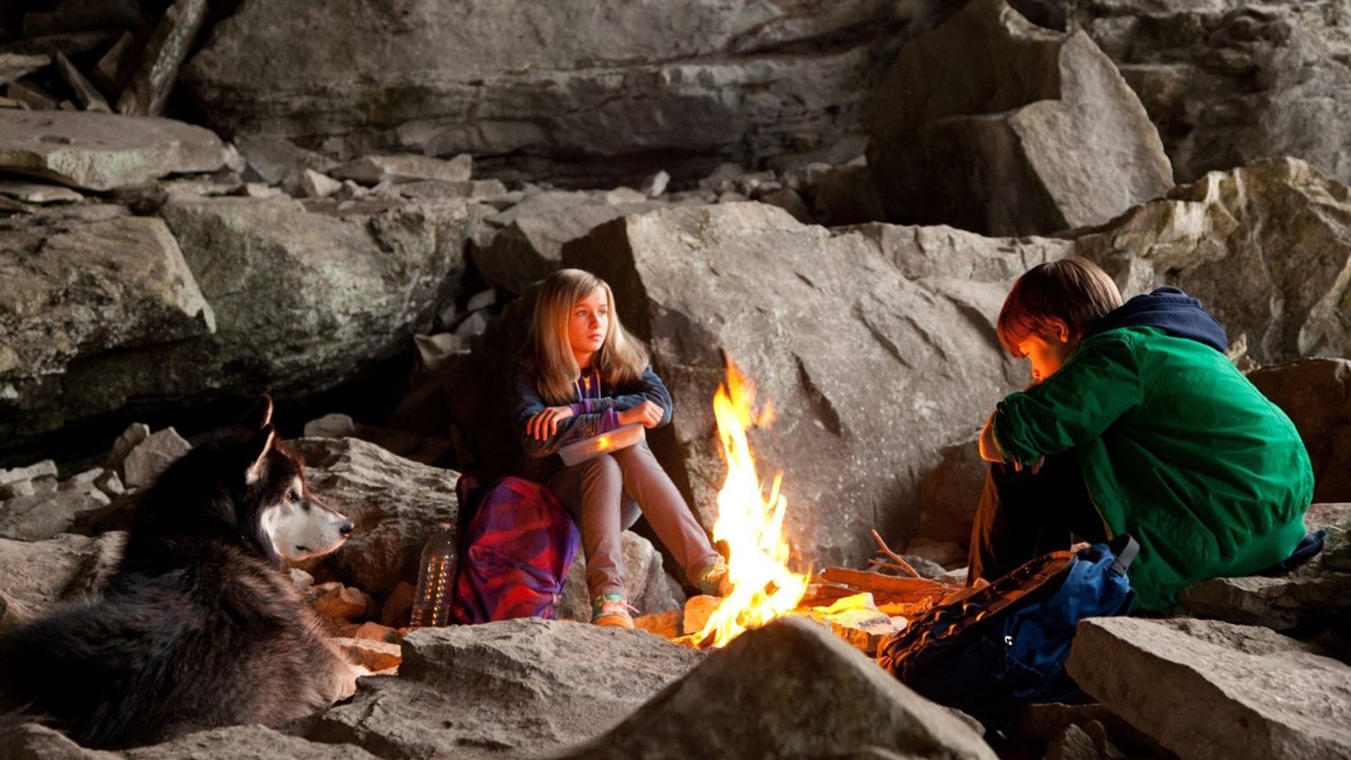 Foto do filme Uma Aventura Animal