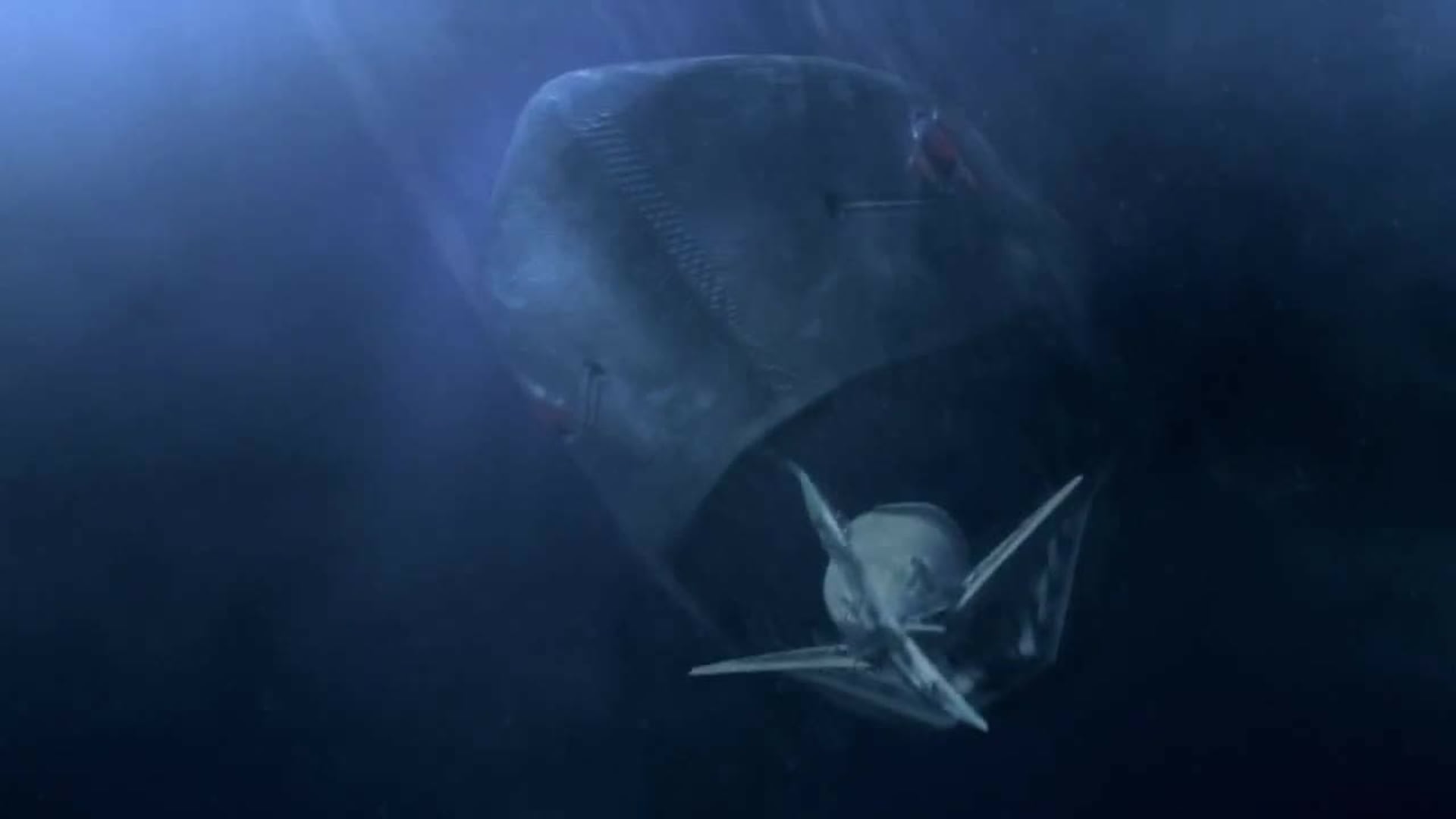 Foto do filme Mega Shark Contra Mecha Shark