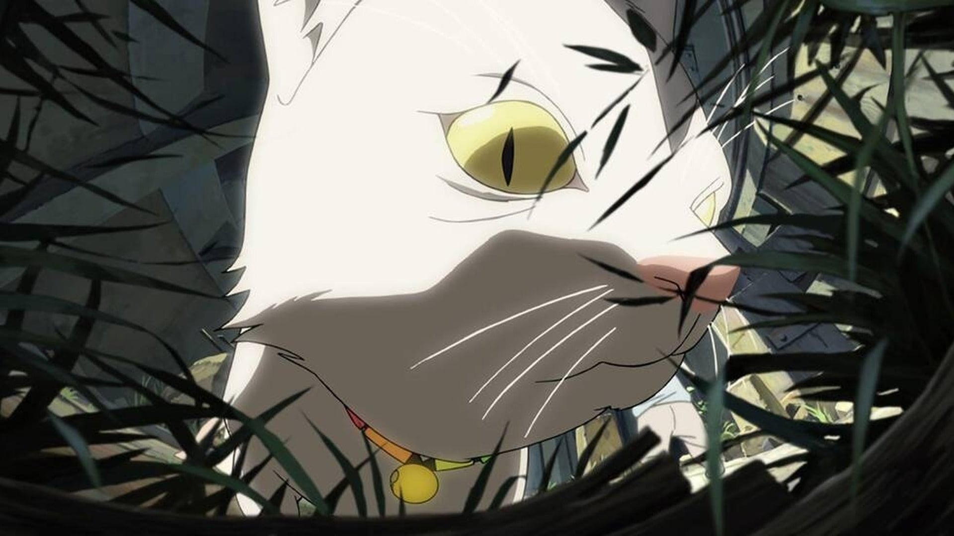 Foto do filme Animatrix: Além da Realidade