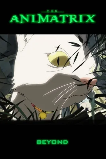 Animatrix: Além da Realidade