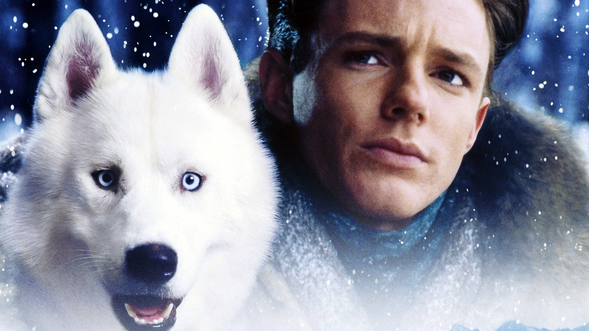 Foto do filme Iron Will: O Grande Desafio