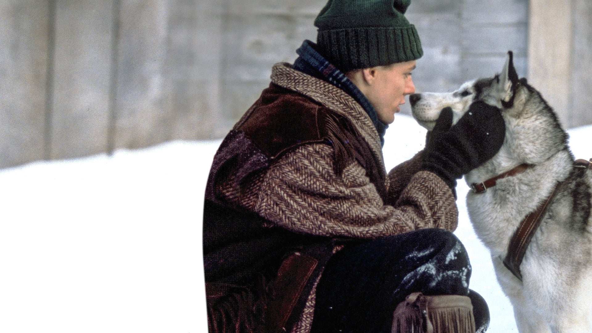 Foto do filme Iron Will: O Grande Desafio