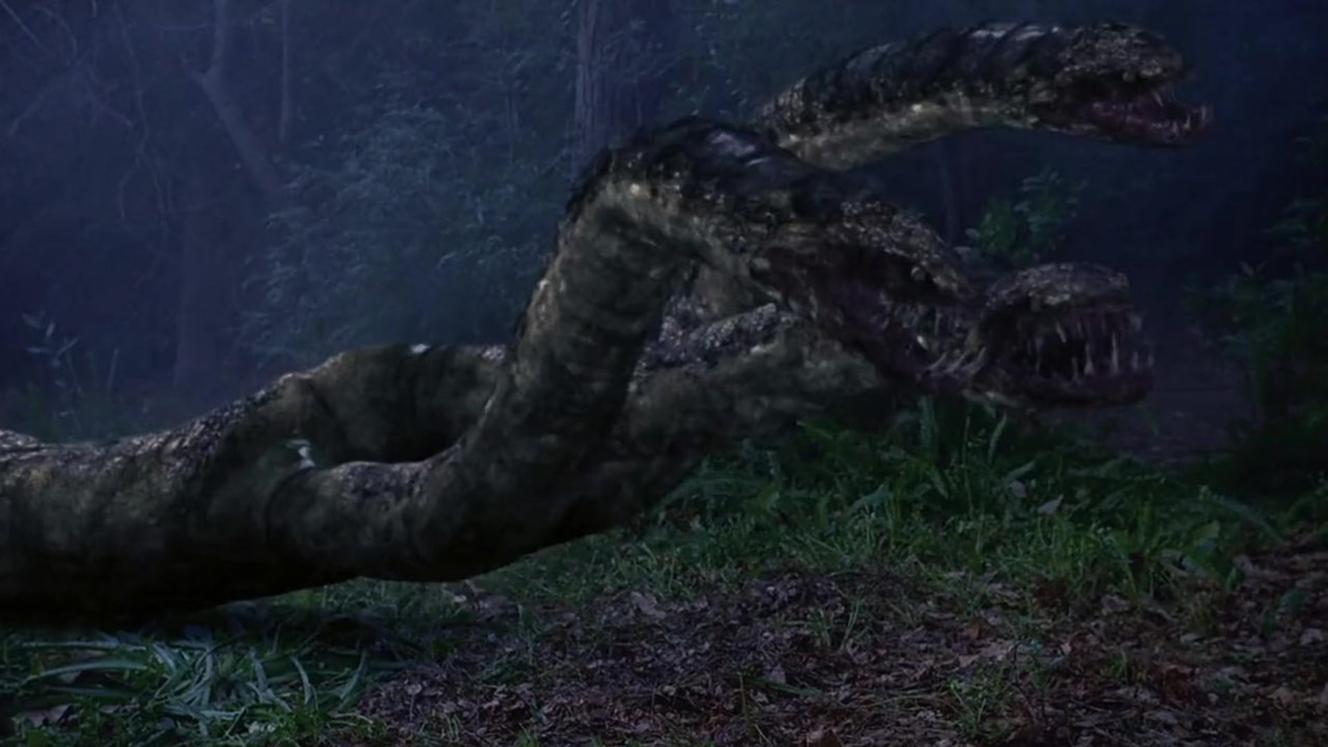 Foto do filme A Ilha Perdida