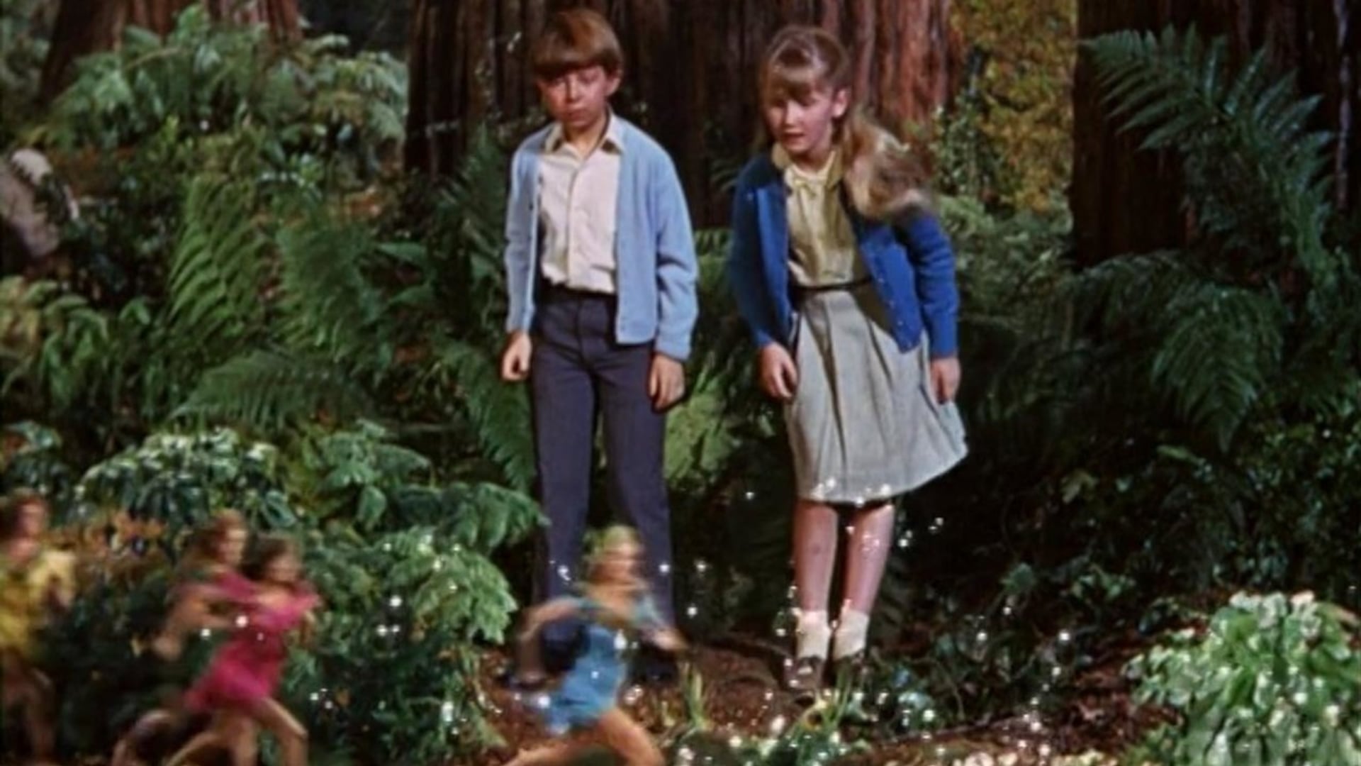 Foto do filme Eu Acredito em Gnomos