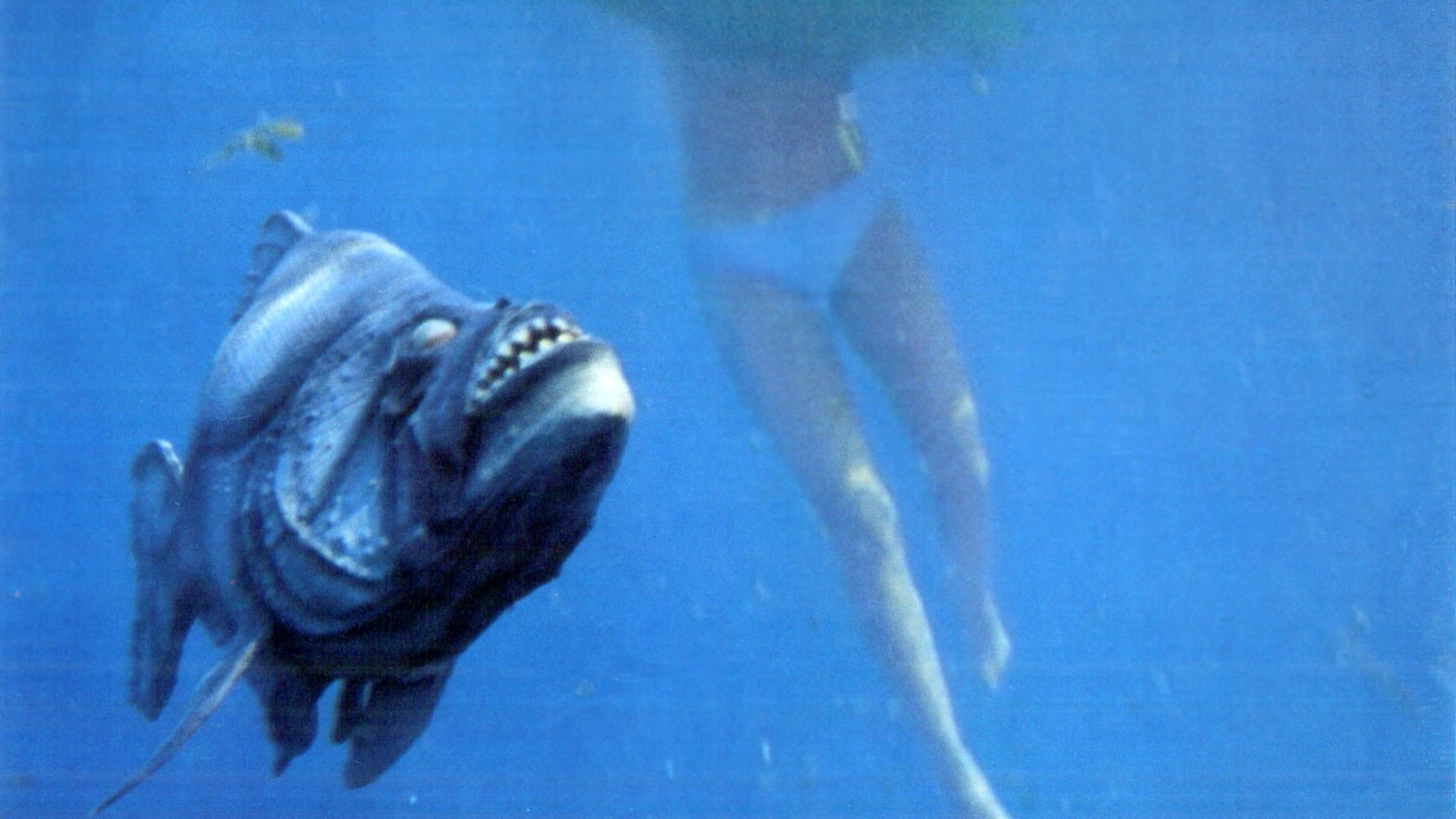 Foto do filme Piranha