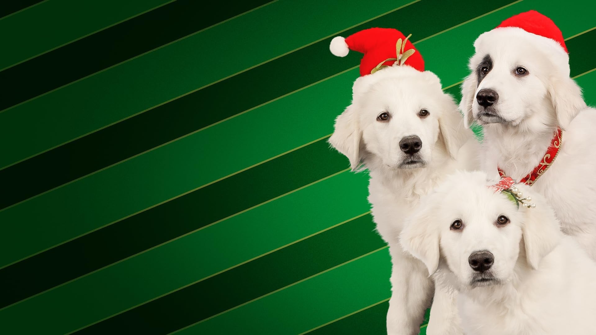 Foto do filme Santa Buddies: Uma Aventura de Natal