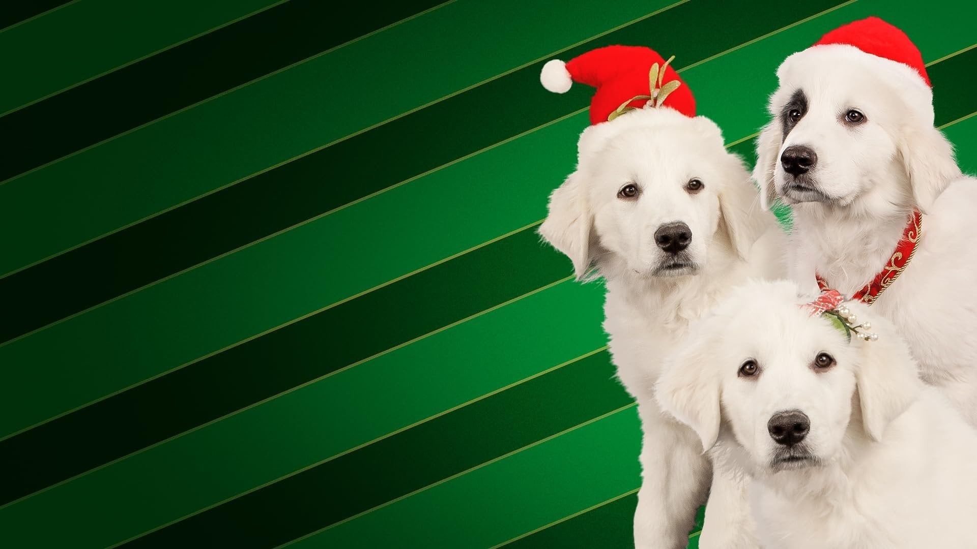 Foto do filme Santa Buddies: Uma Aventura de Natal