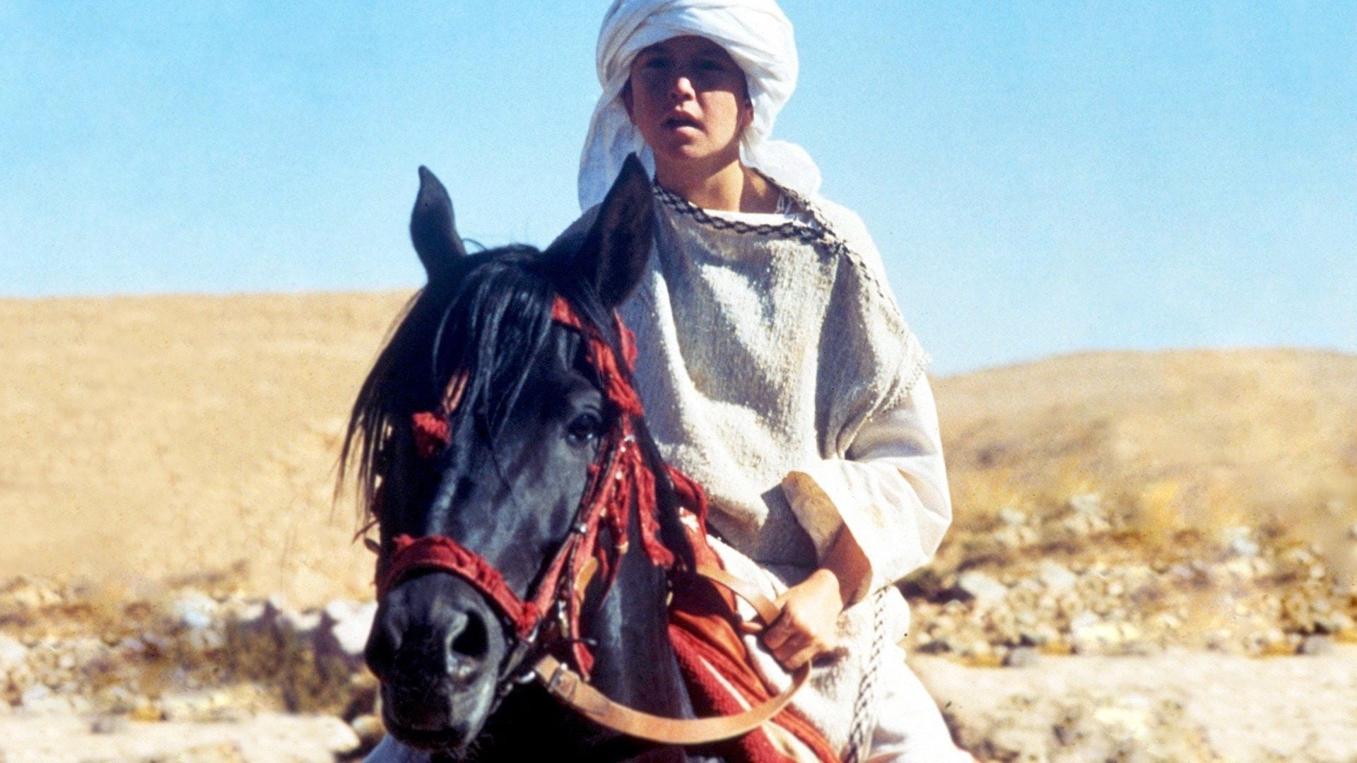 Foto do filme O Regresso do Corcel Negro