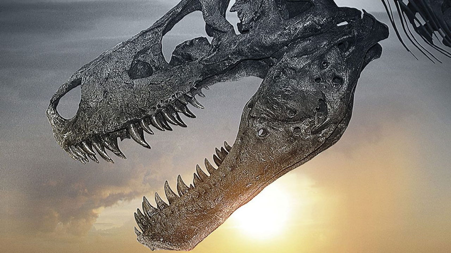Foto do filme Dinosaur 13