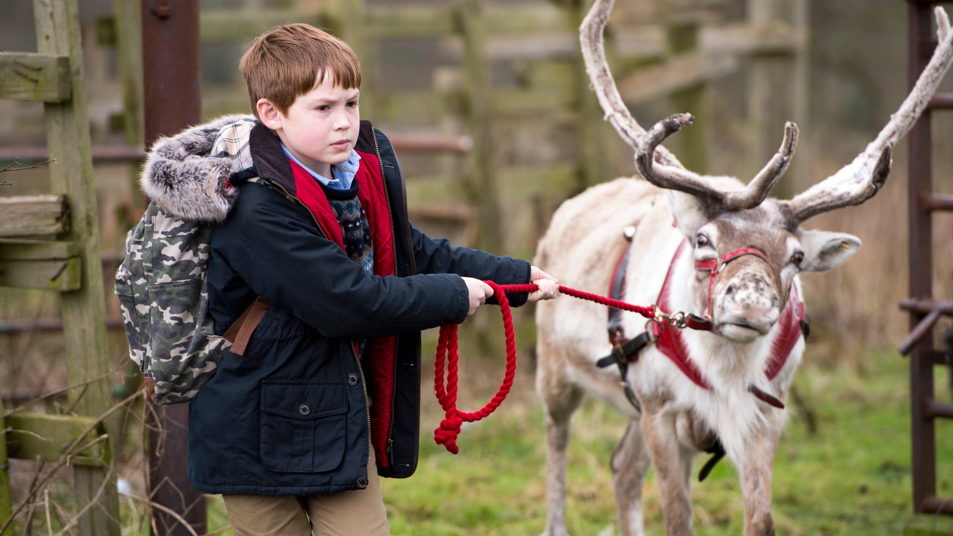 Foto do filme Que Fim Levou Papai Noel?