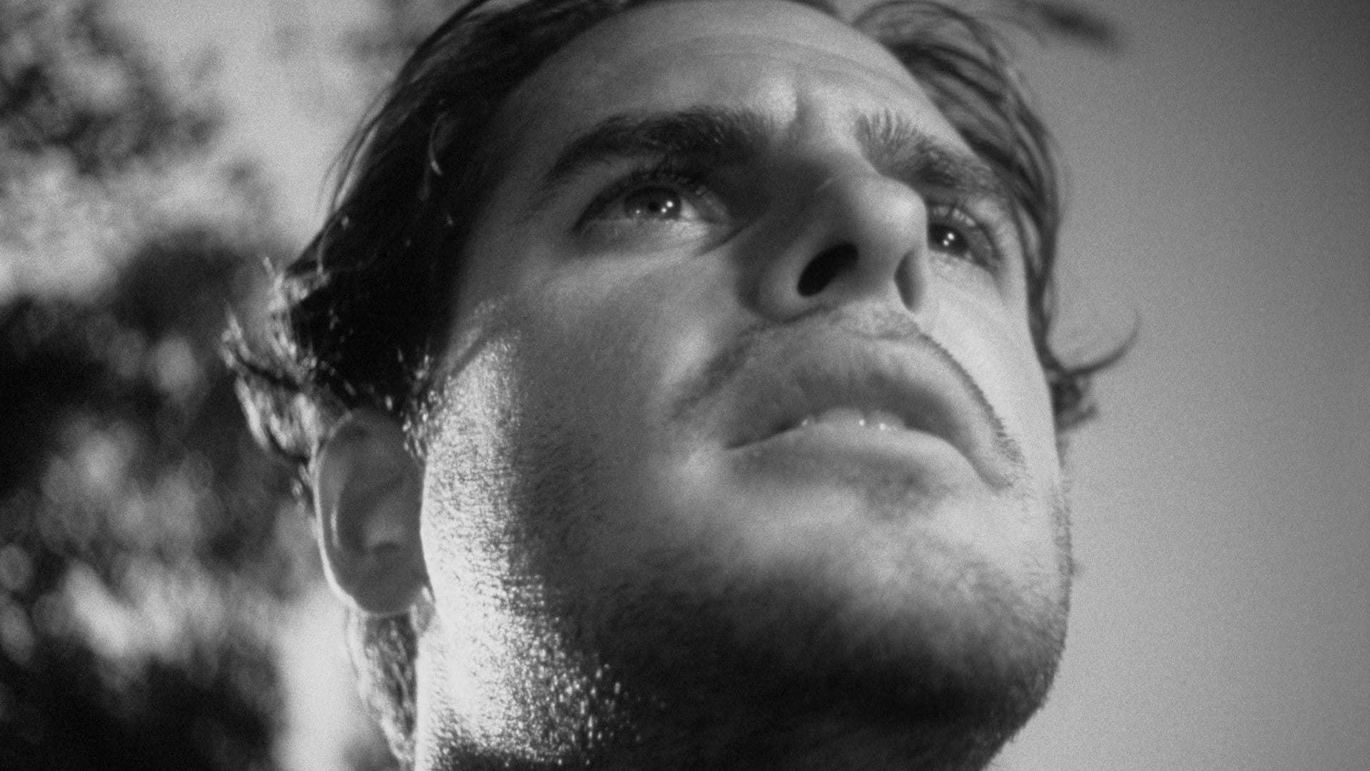 Foto do filme Propriedade Privada