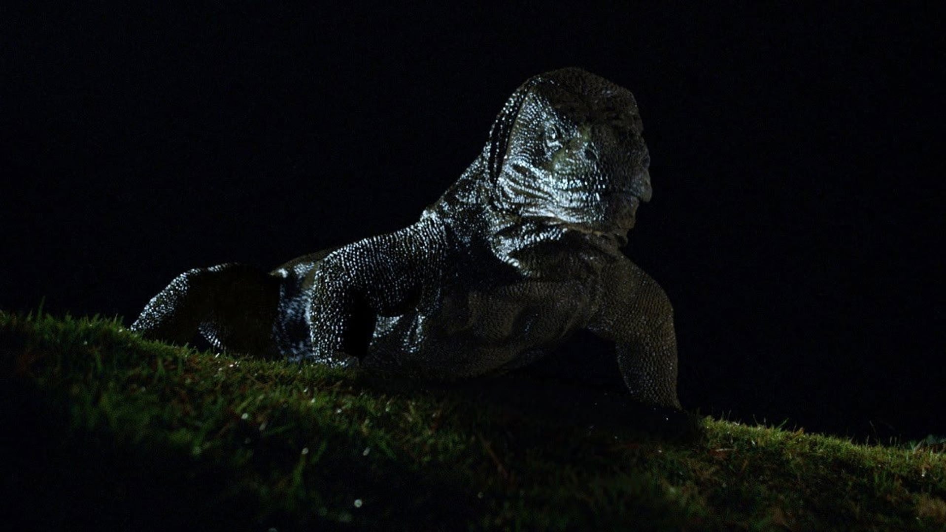 Foto do filme Komodo