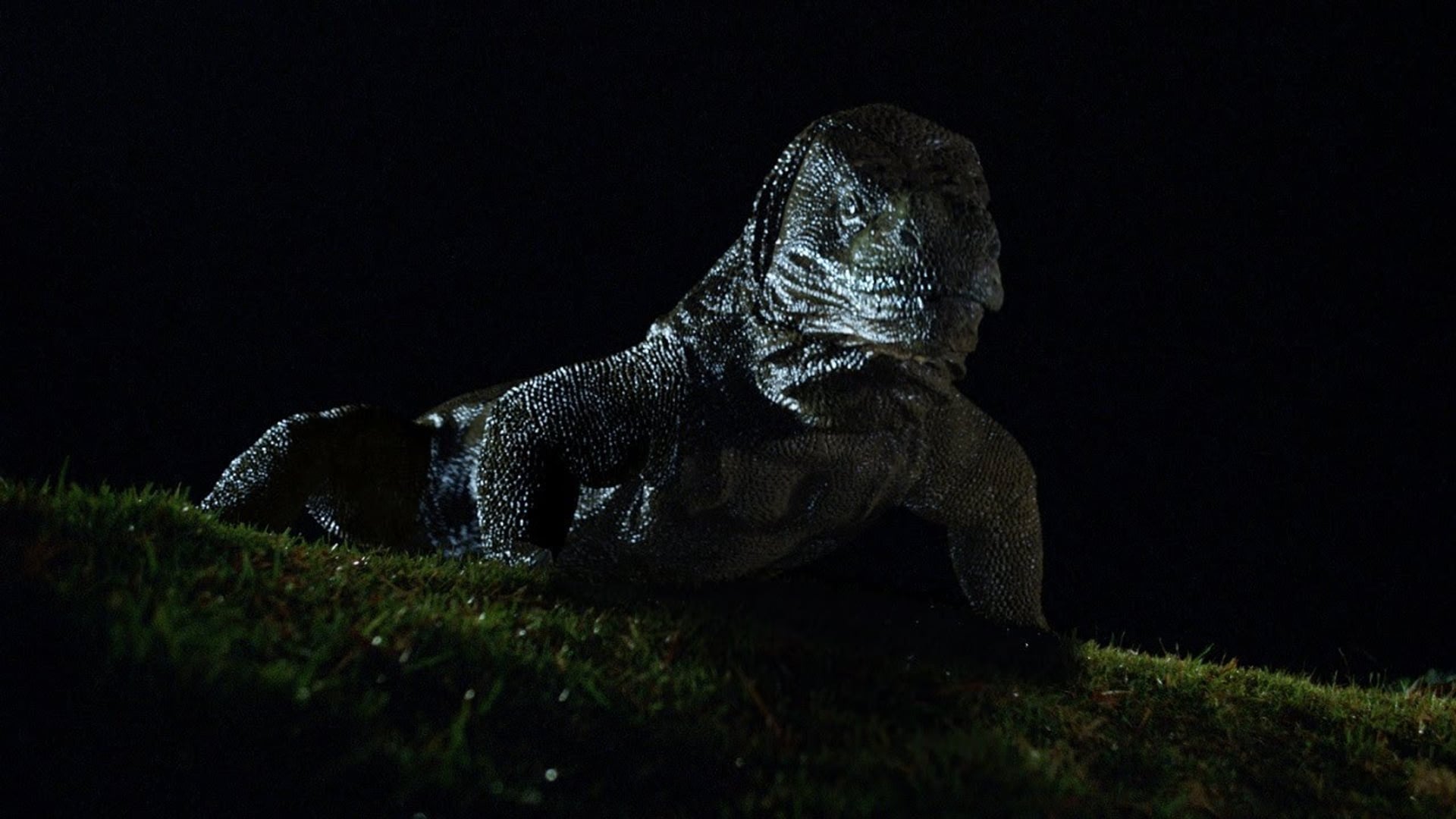 Foto do filme Komodo