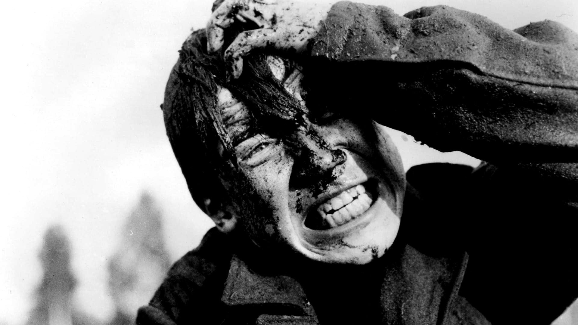 Foto do filme Vá e Veja