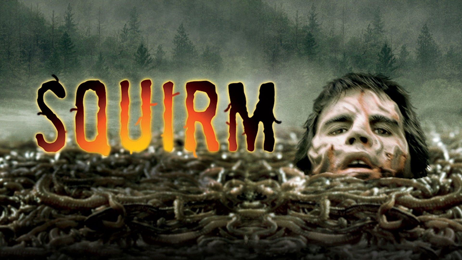 Foto do filme Squirm