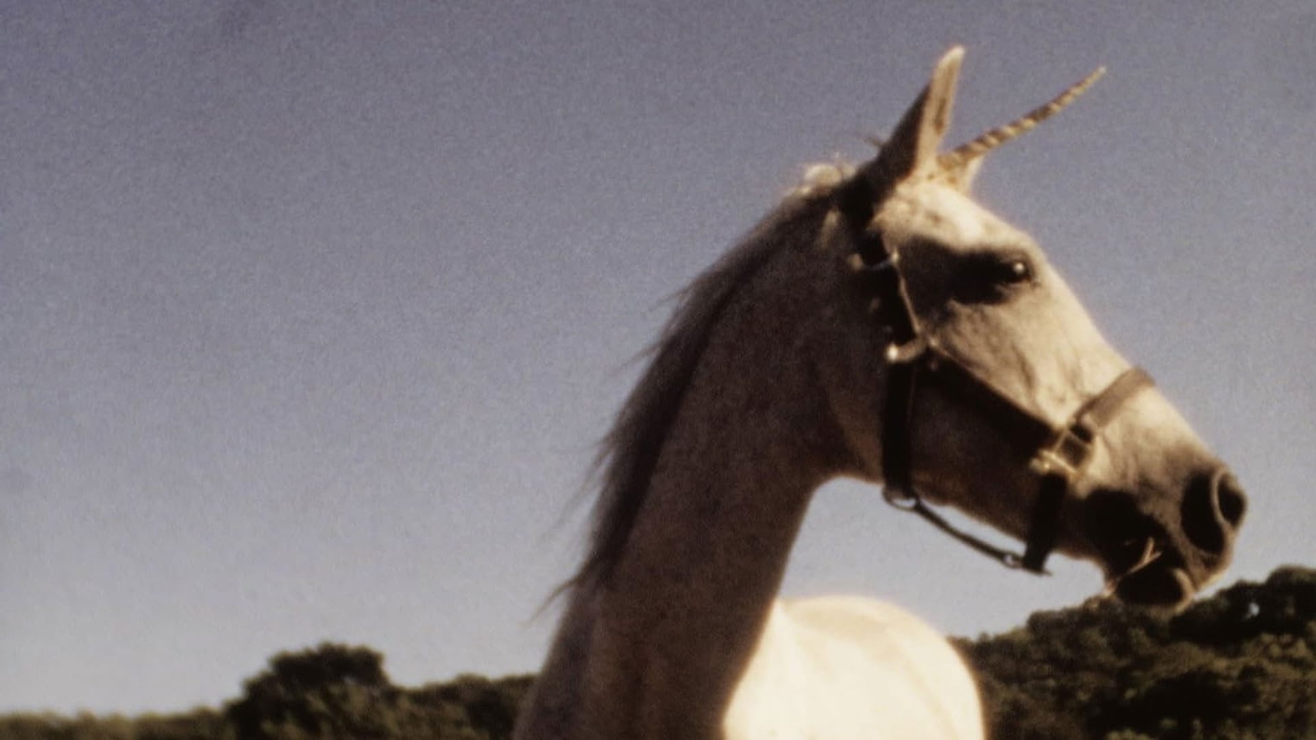 Foto do filme Eu Acredito em Unicórnios