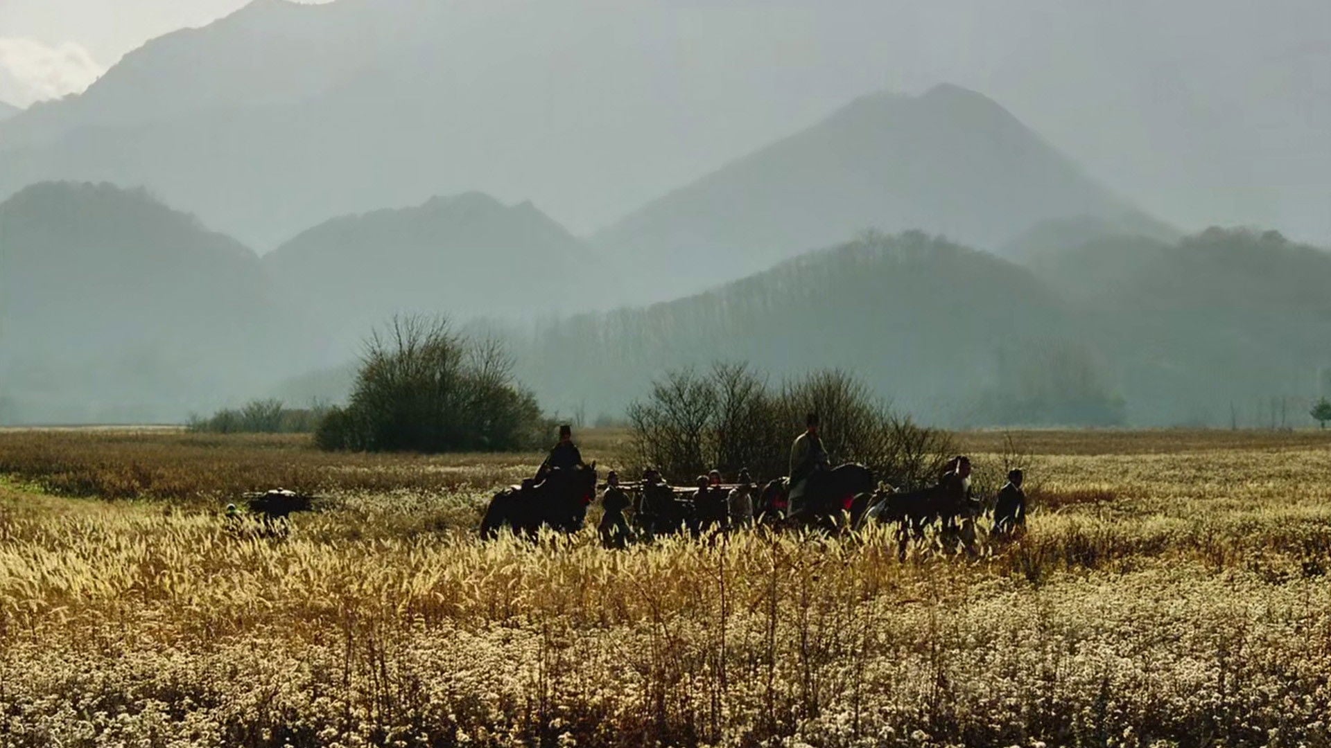 Foto do filme A Assassina