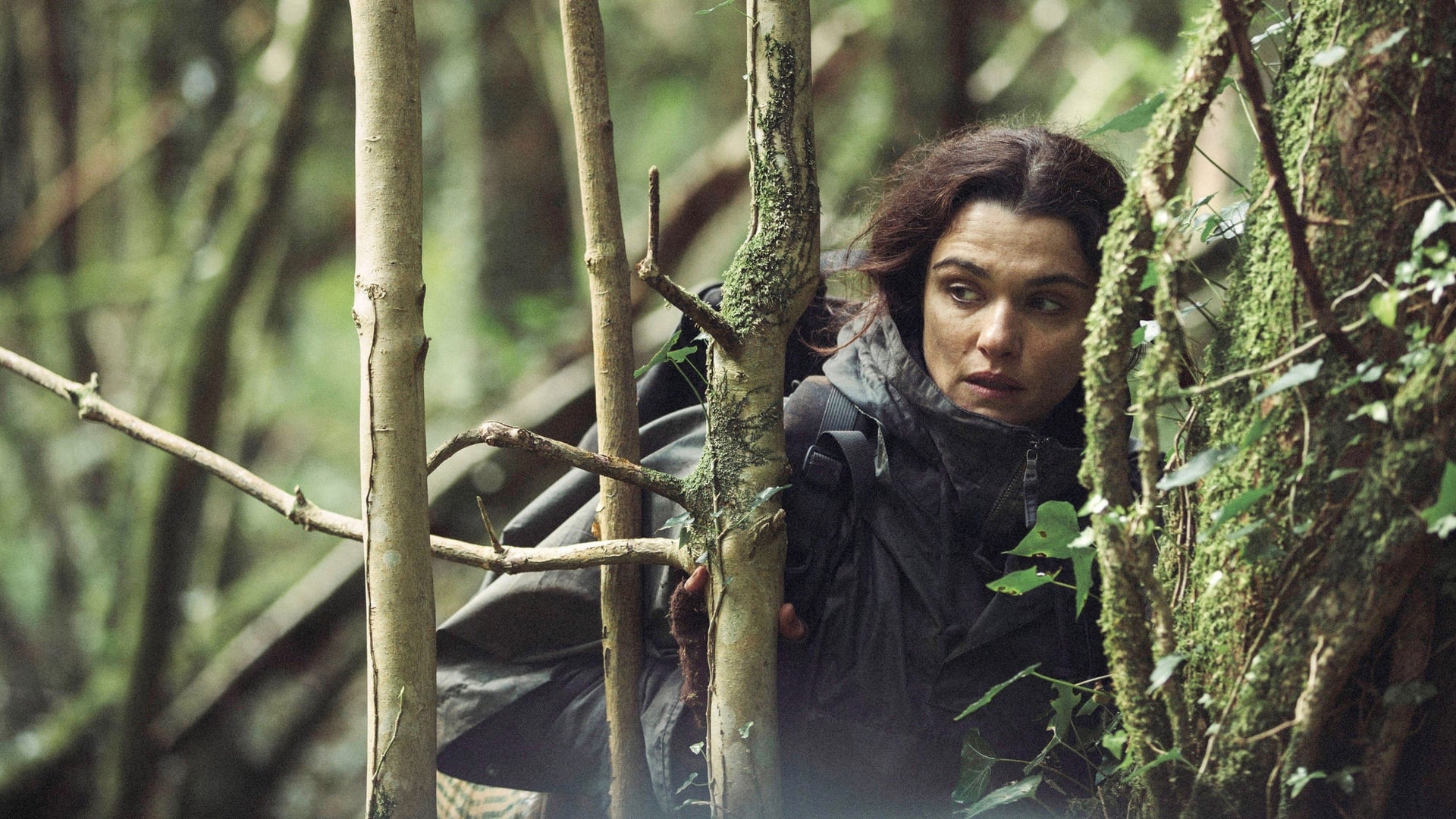 Foto do filme O Lagosta