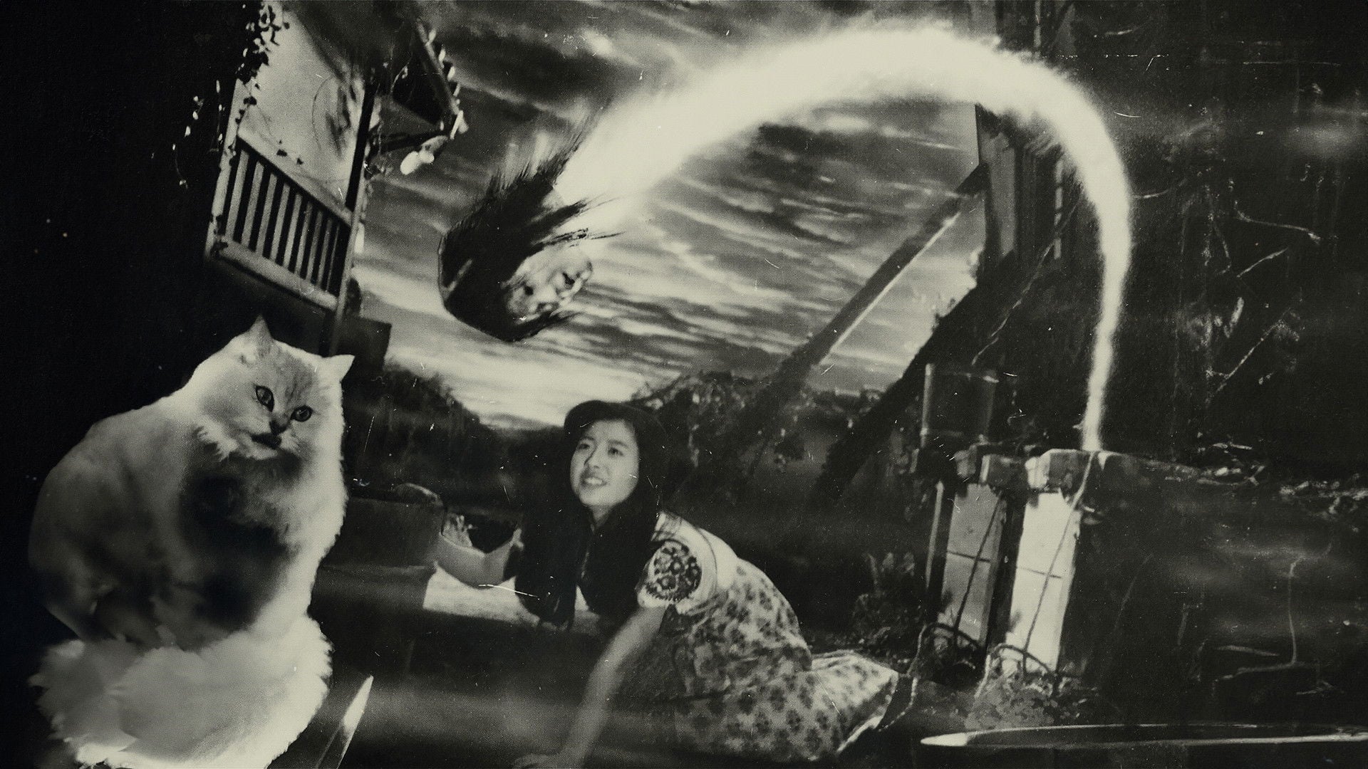 Foto do filme Hausu