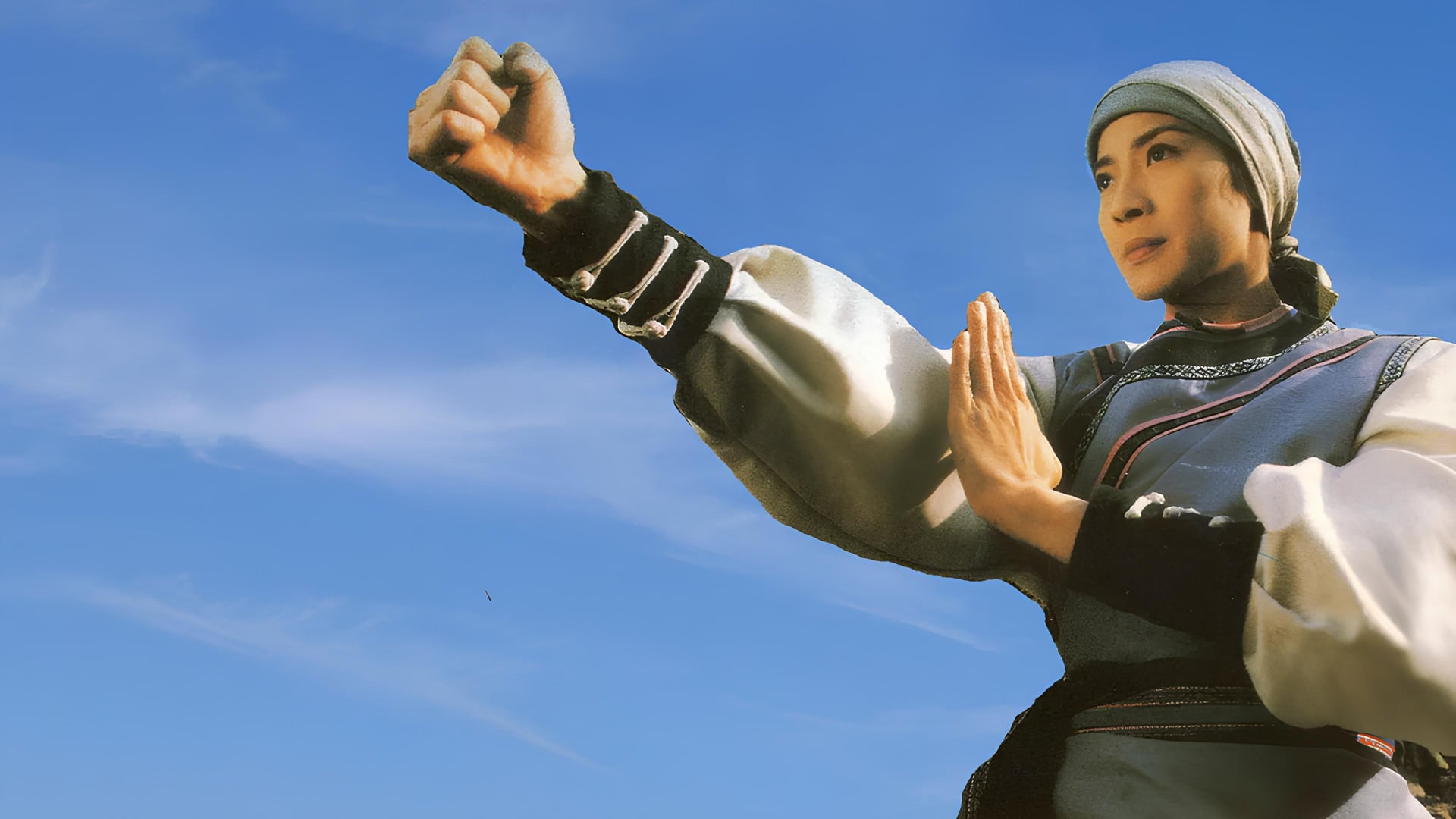 Foto do filme Wing Chun - Uma Luta Milenar