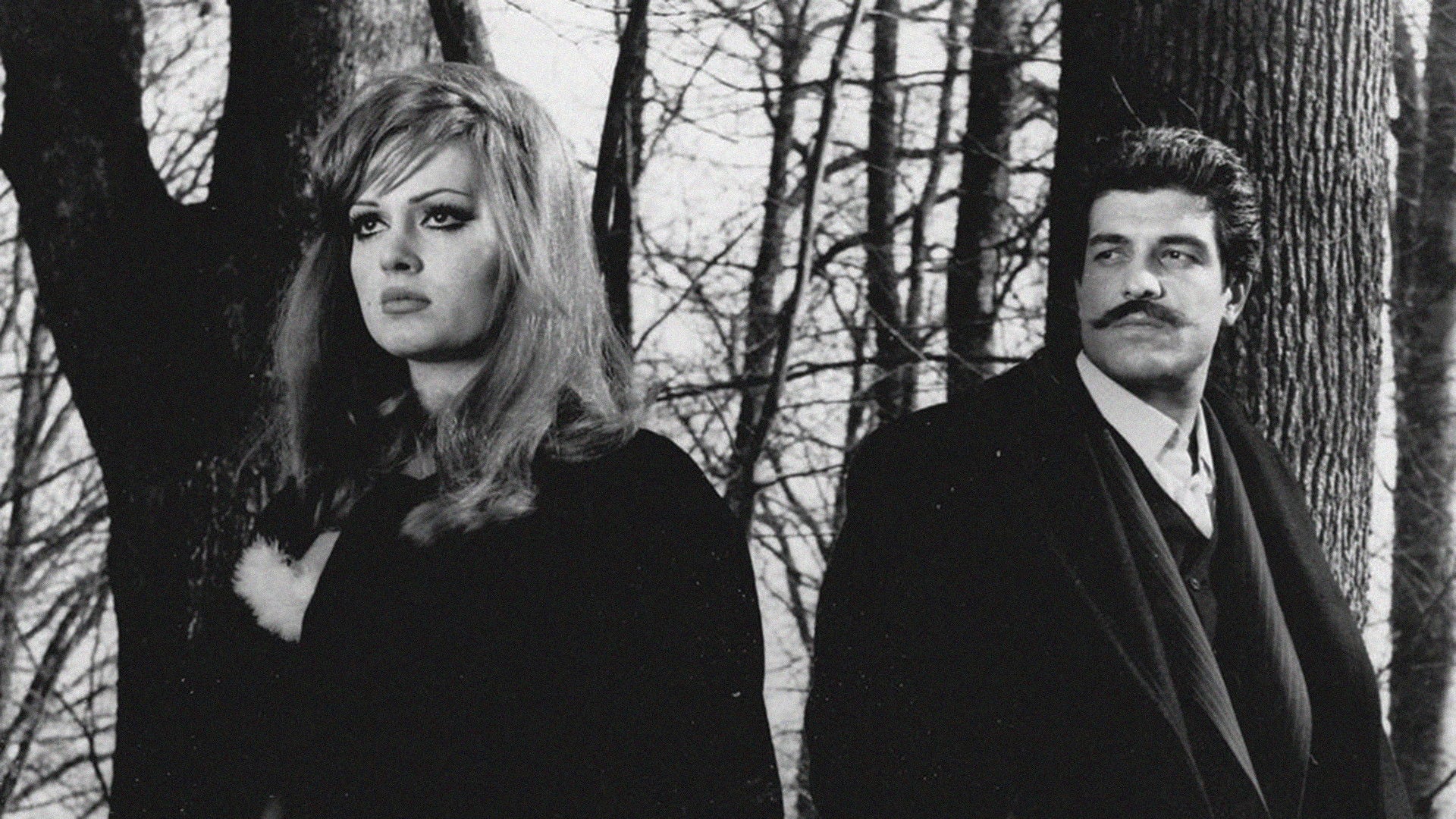 Foto do filme Vesikalı Yarim