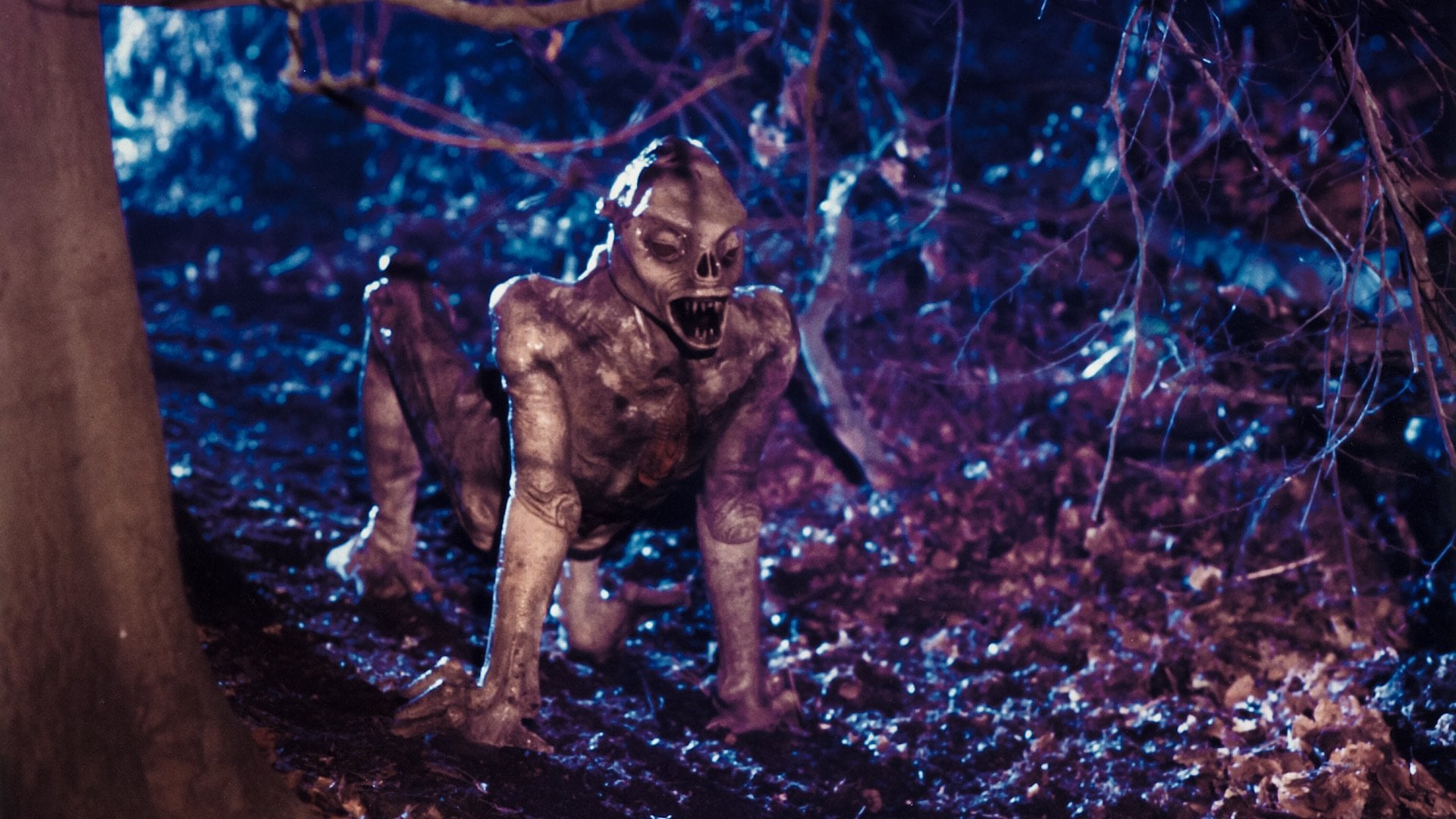 Foto do filme Estranhas Metamorfoses