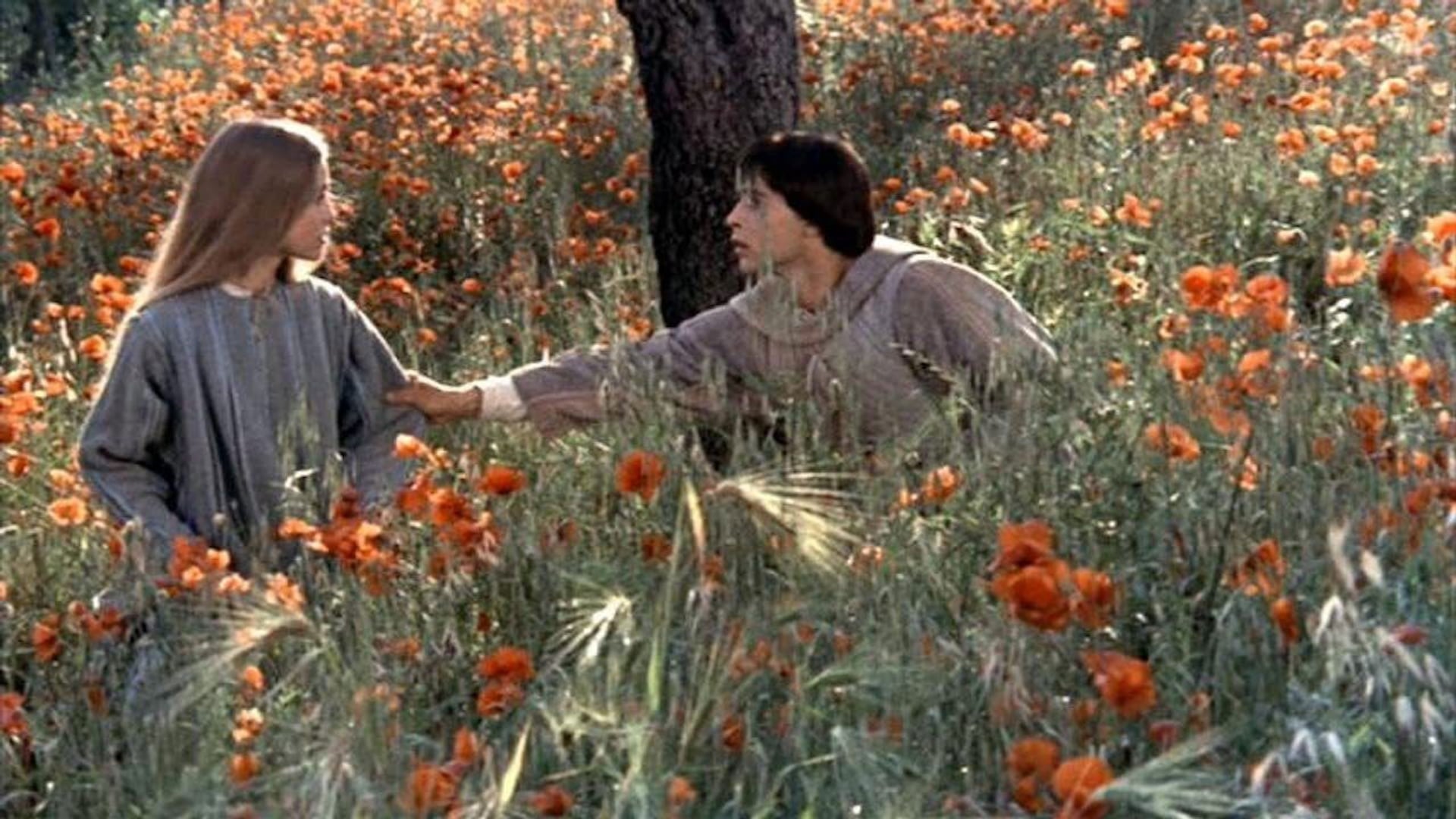 Foto do filme Irmão Sol, Irmã Lua