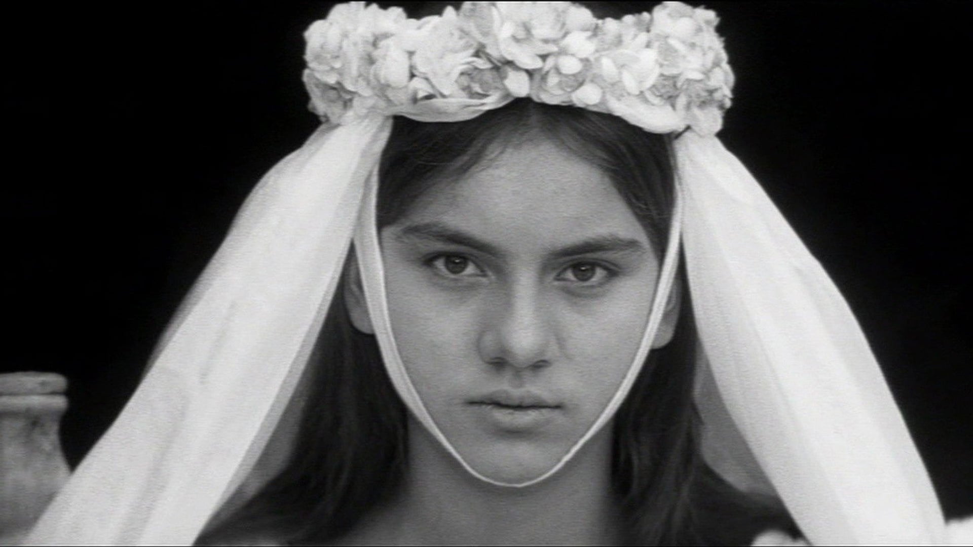 Foto do filme Údolí včel