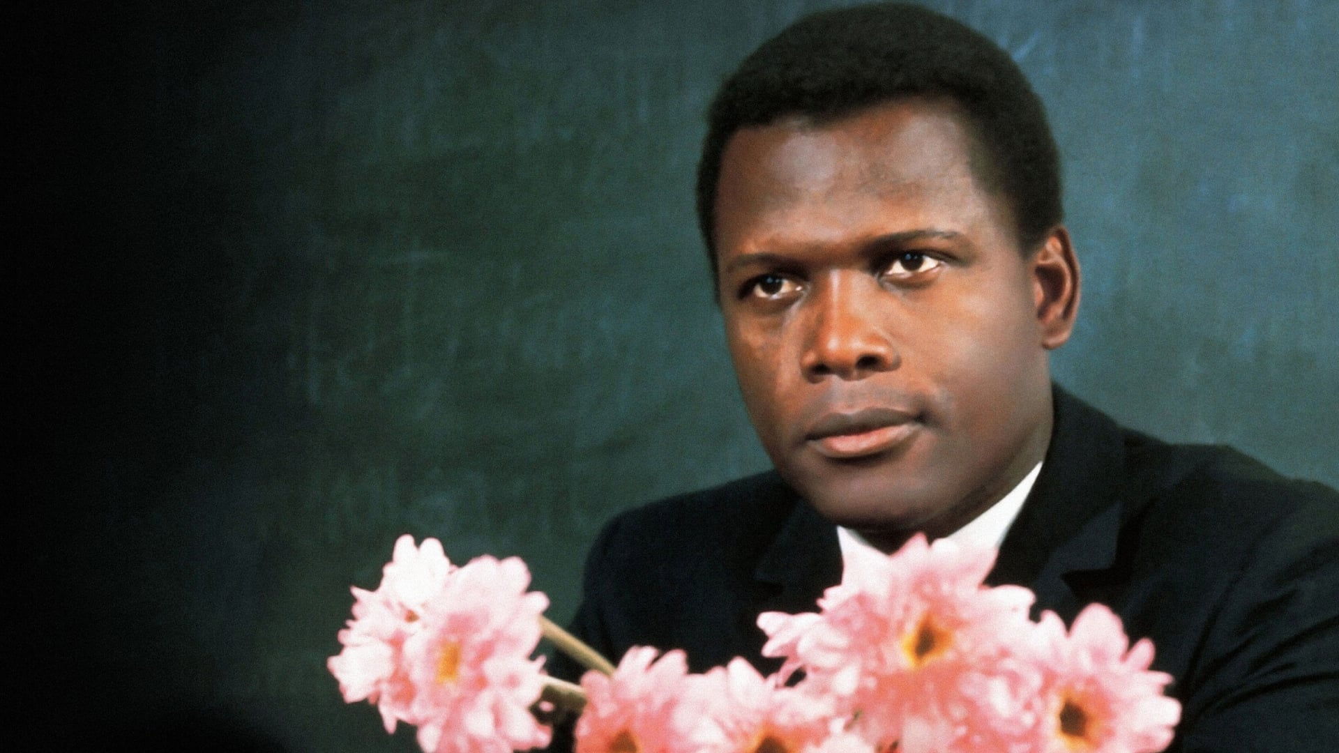 Foto do filme Ao Mestre, Com Carinho