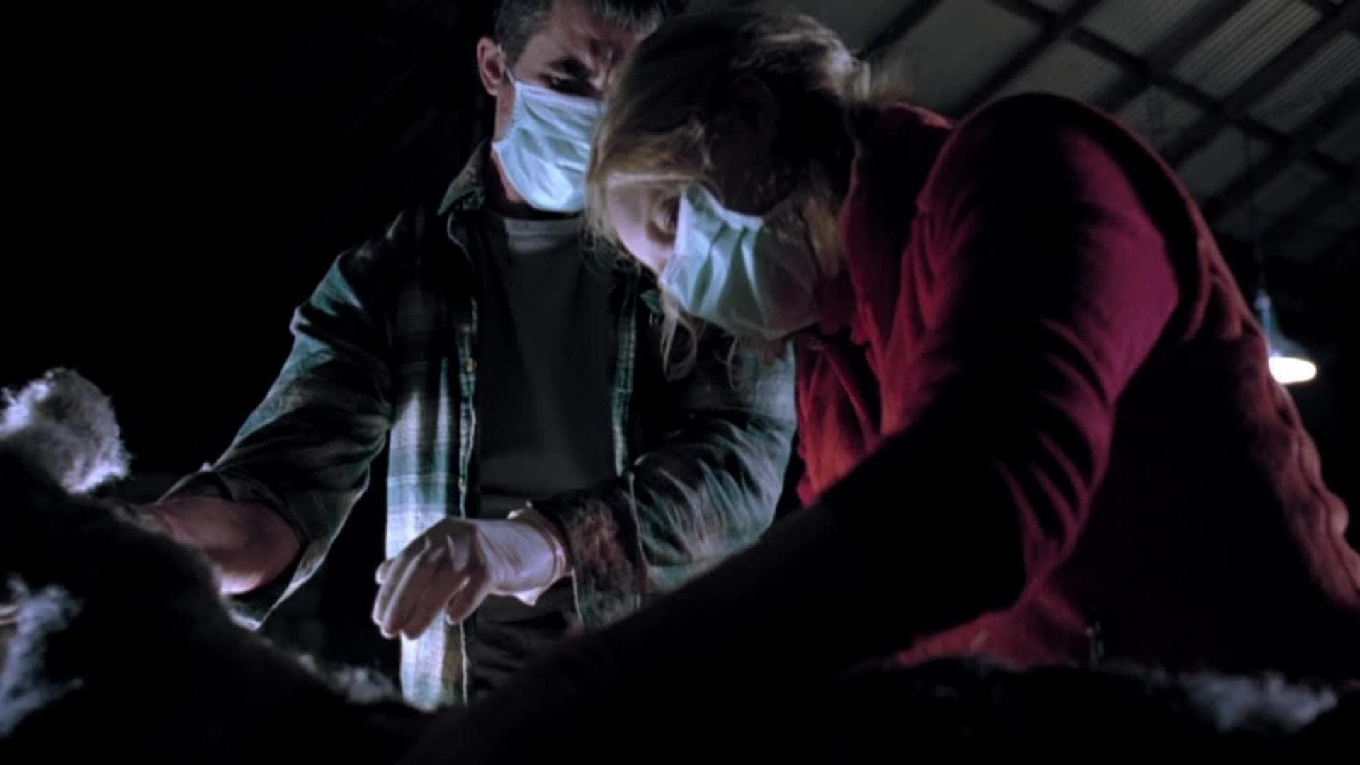 Foto do filme Quarentena