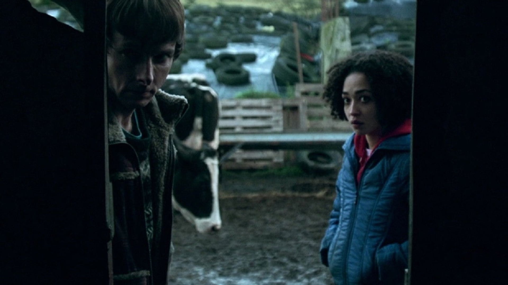 Foto do filme Quarentena