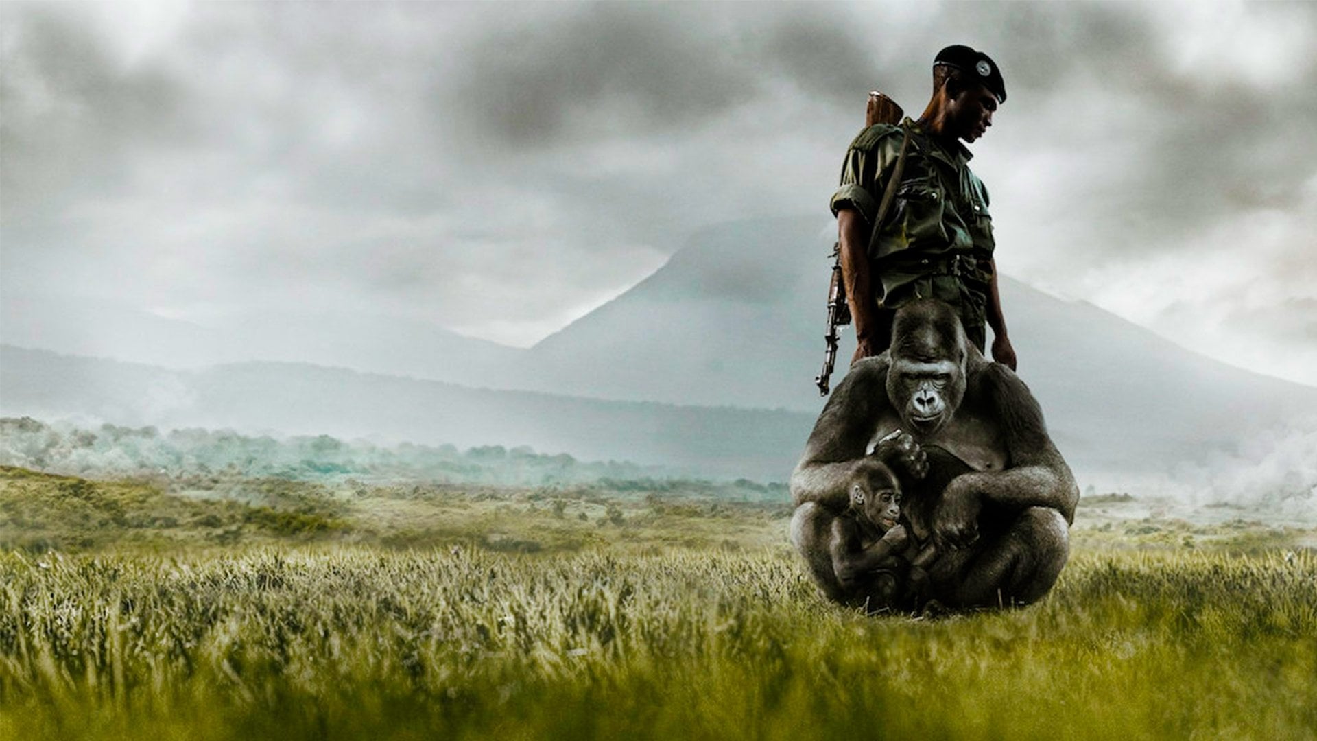 Foto do filme VIRUNGA