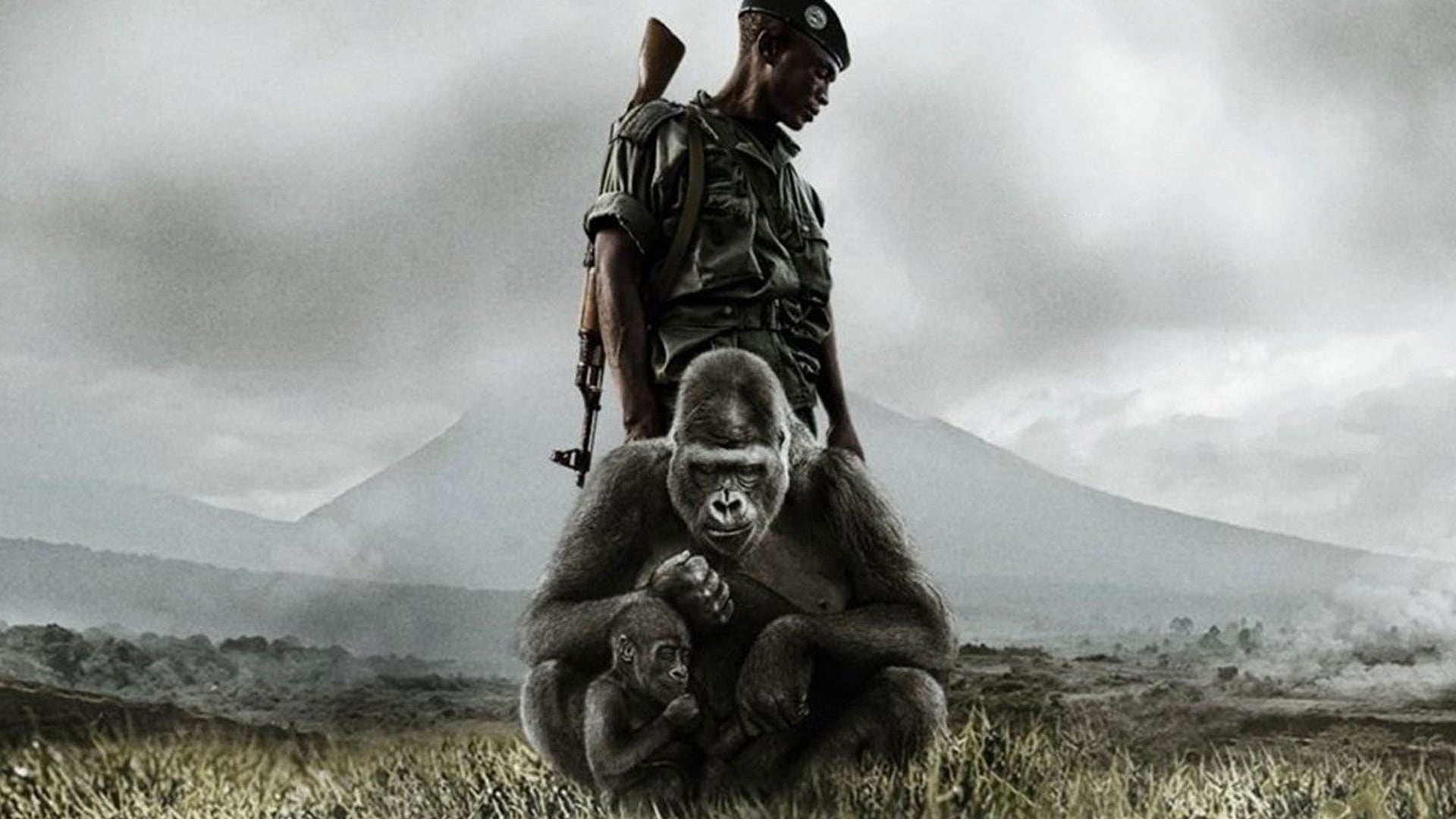 Foto do filme VIRUNGA