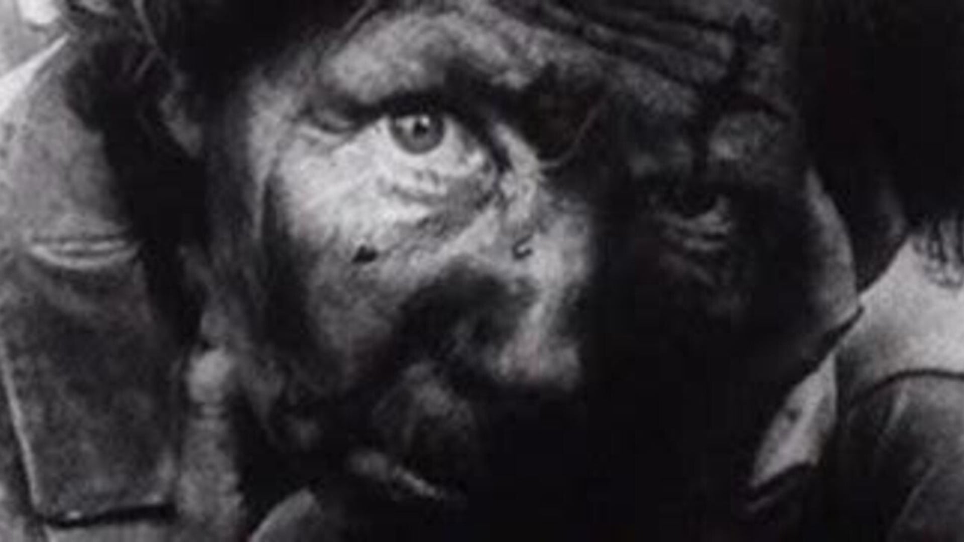 Foto do filme O Jogo da Guerra