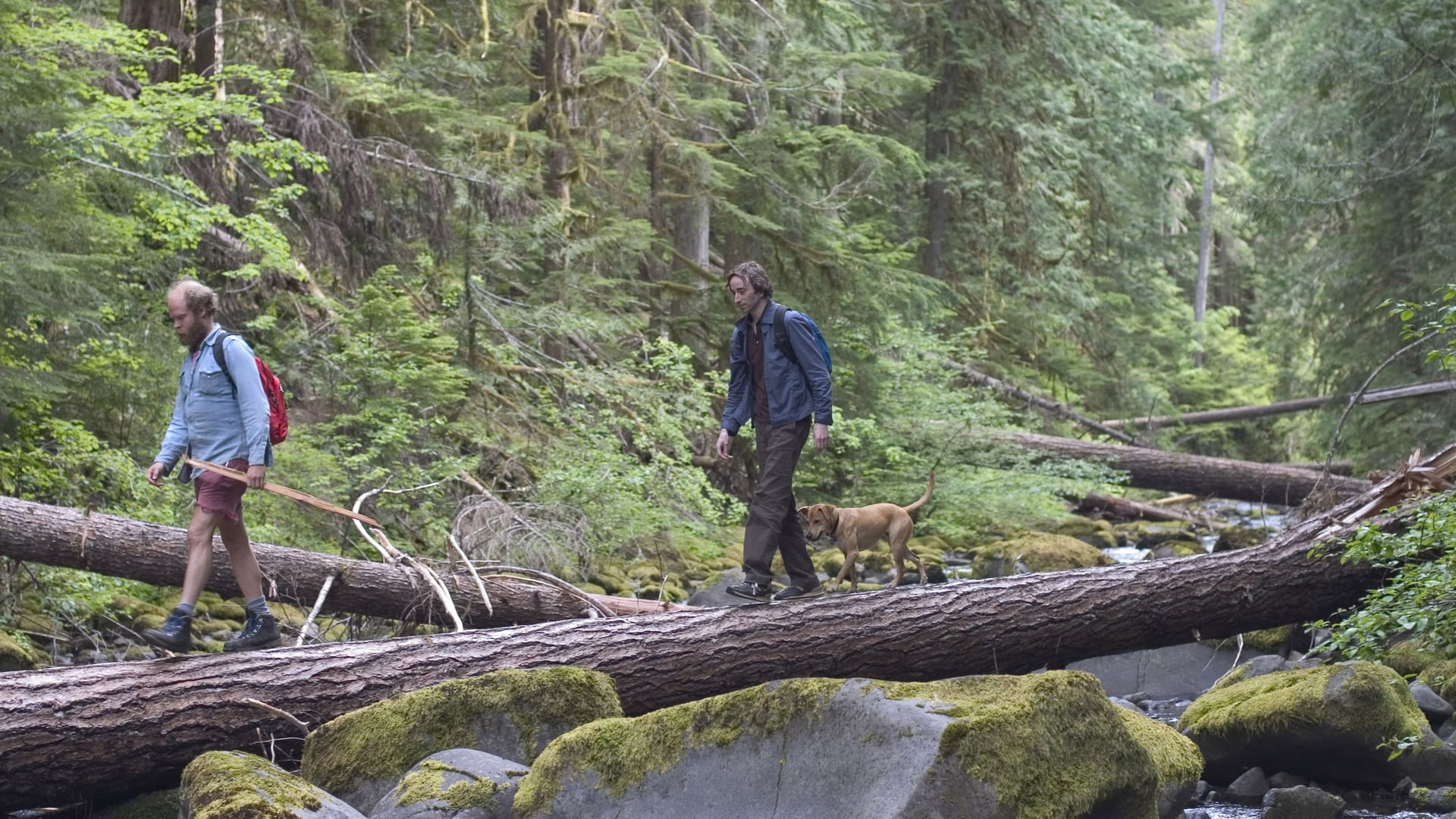 Foto do filme Antiga Alegria