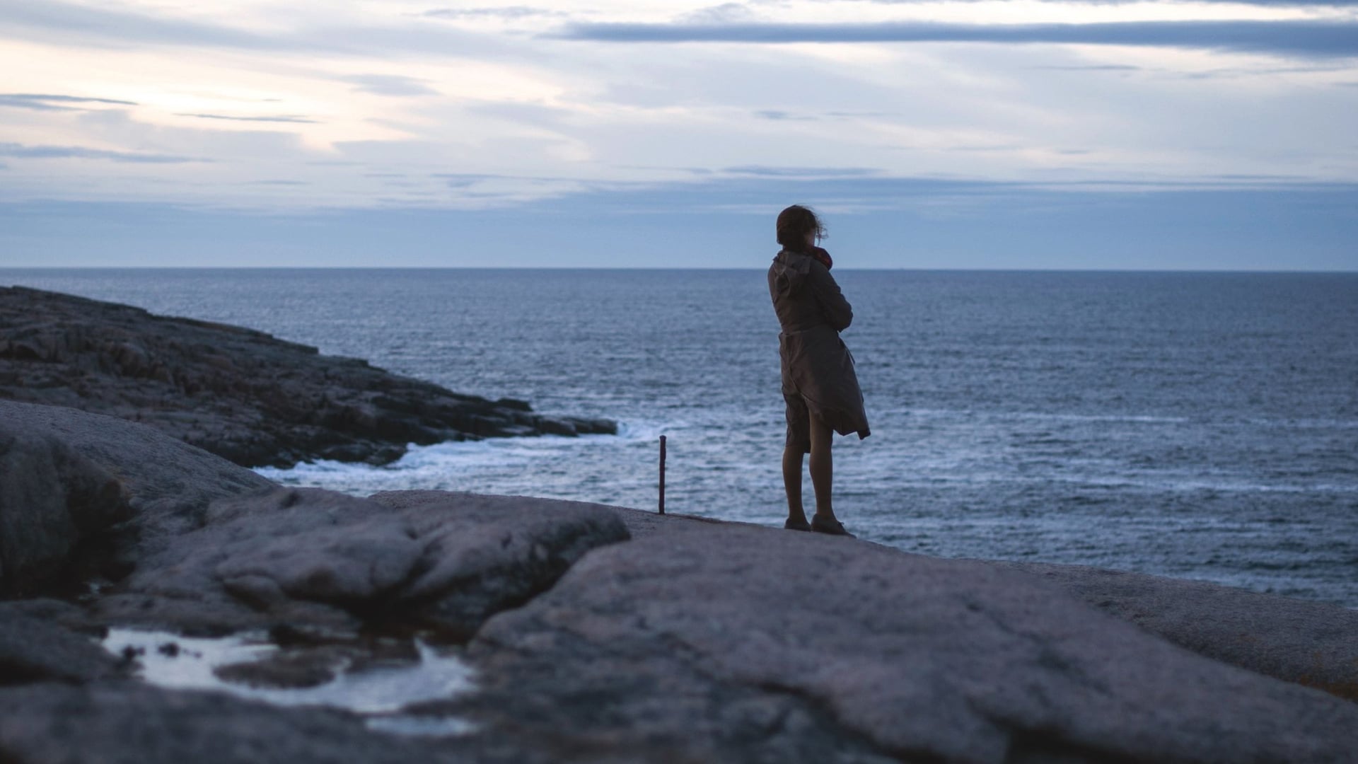 Foto do filme Leviatã