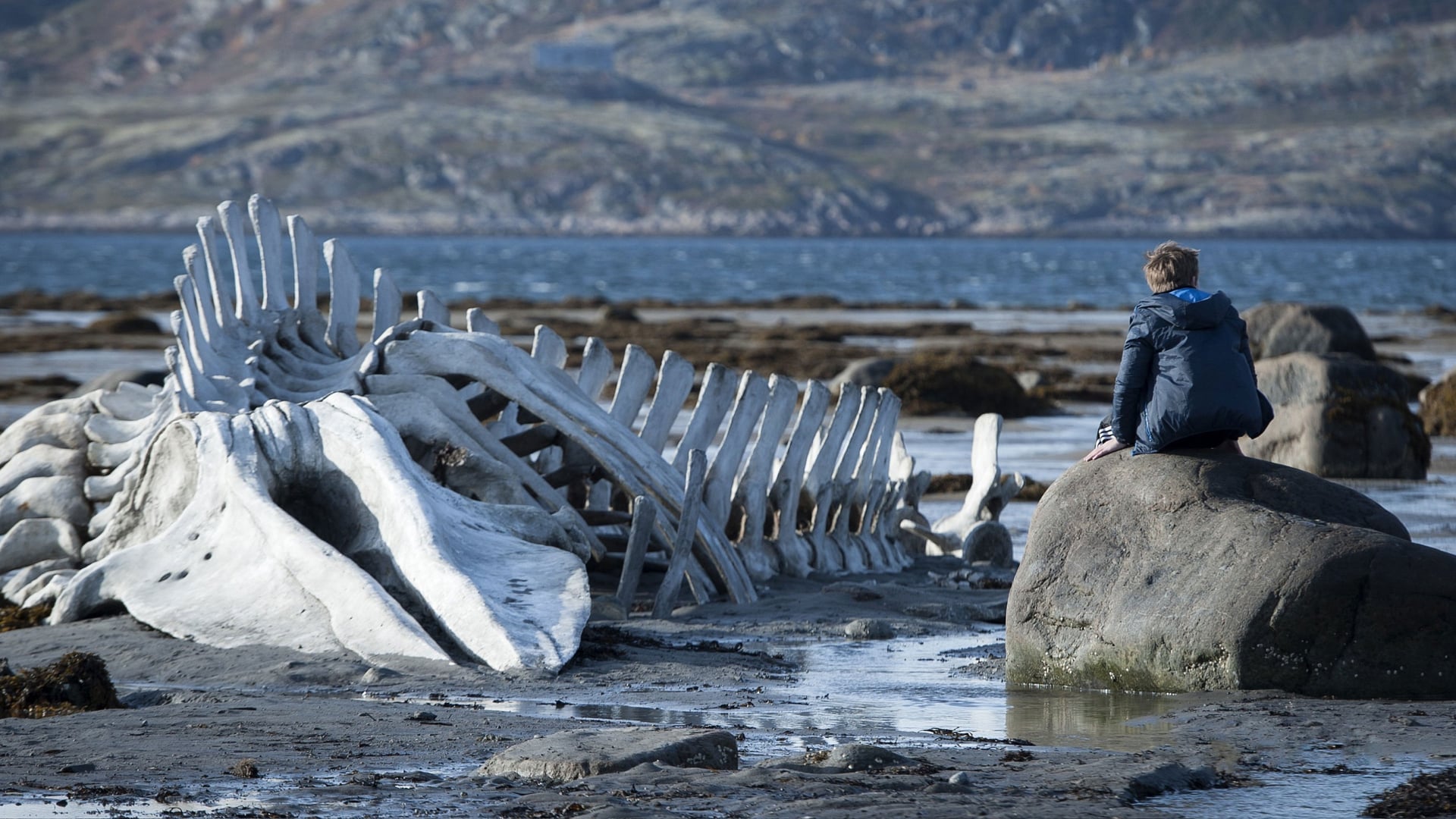 Foto do filme Leviatã