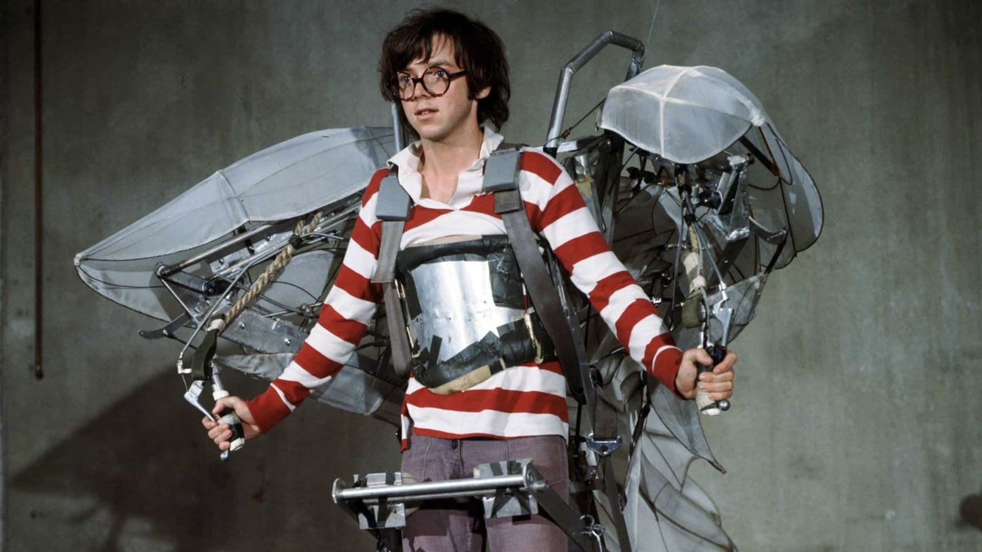 Foto do filme Voar é com os Pássaros