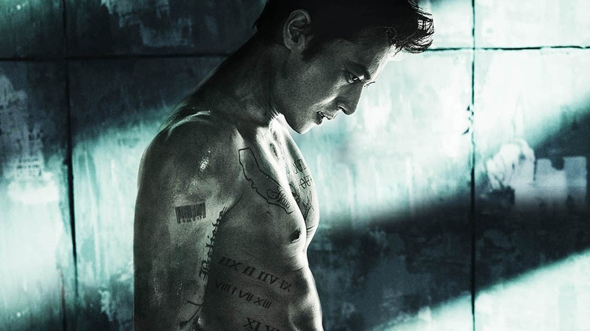 Foto do filme Assassino Profissional