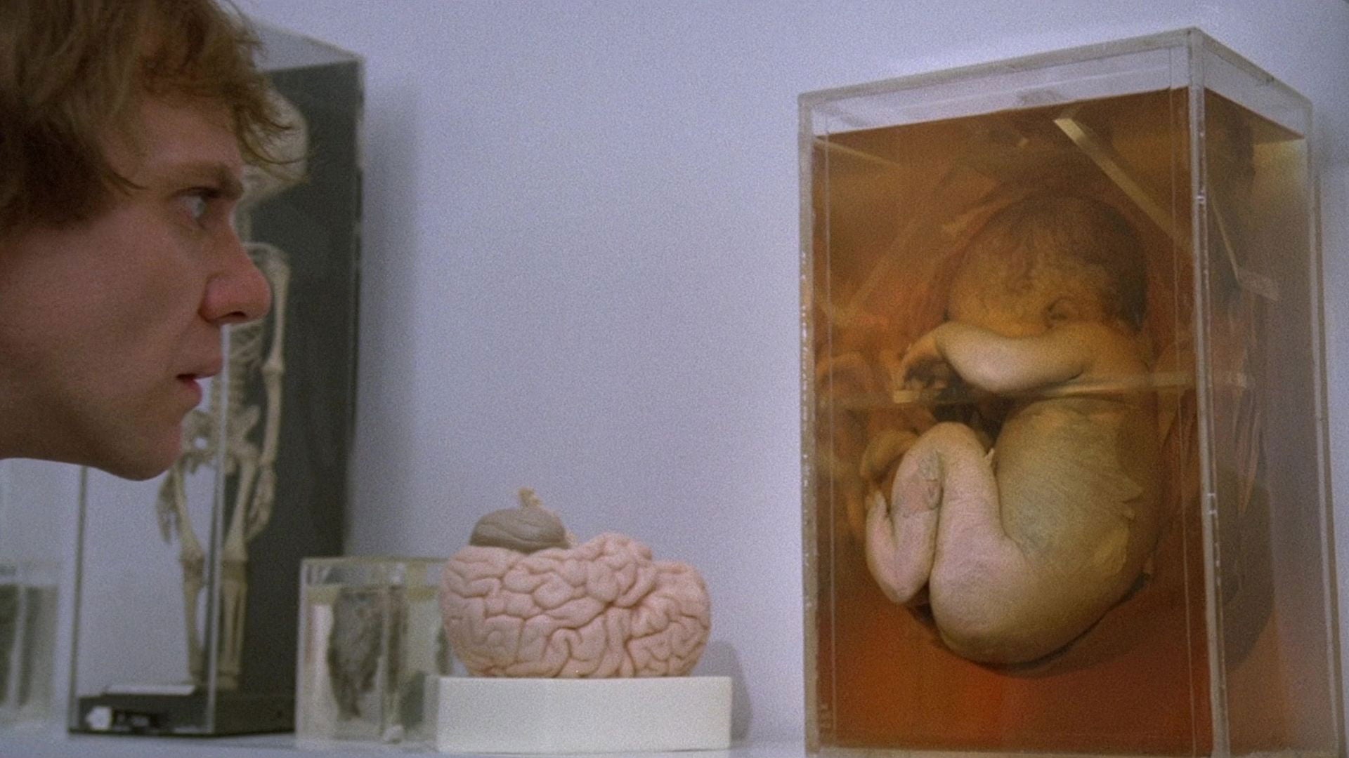 Foto do filme Hospital dos Malucos