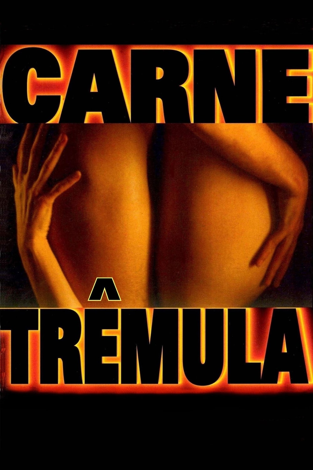 Carne Trêmula