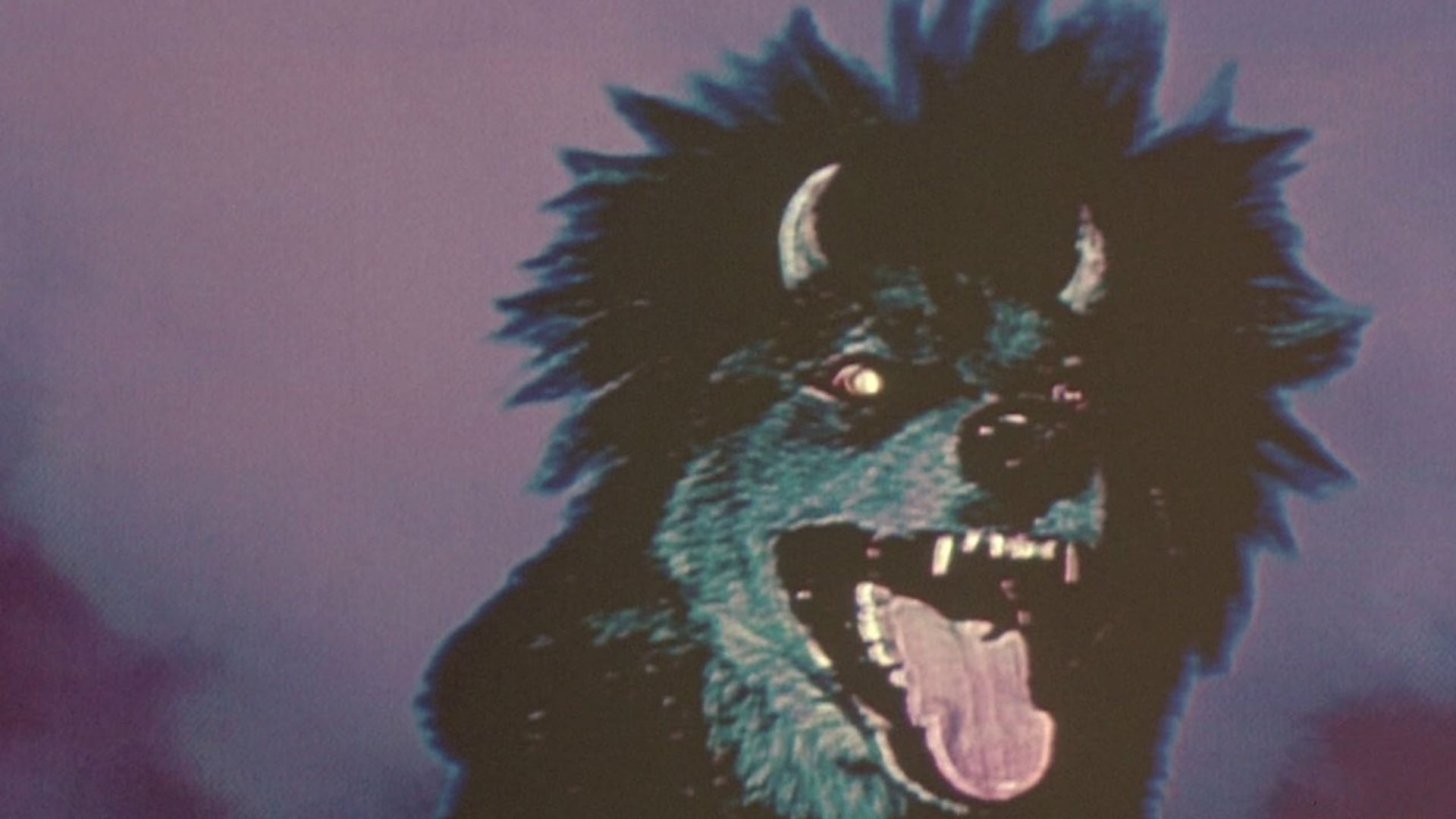 Foto do filme O Cão do Diabo