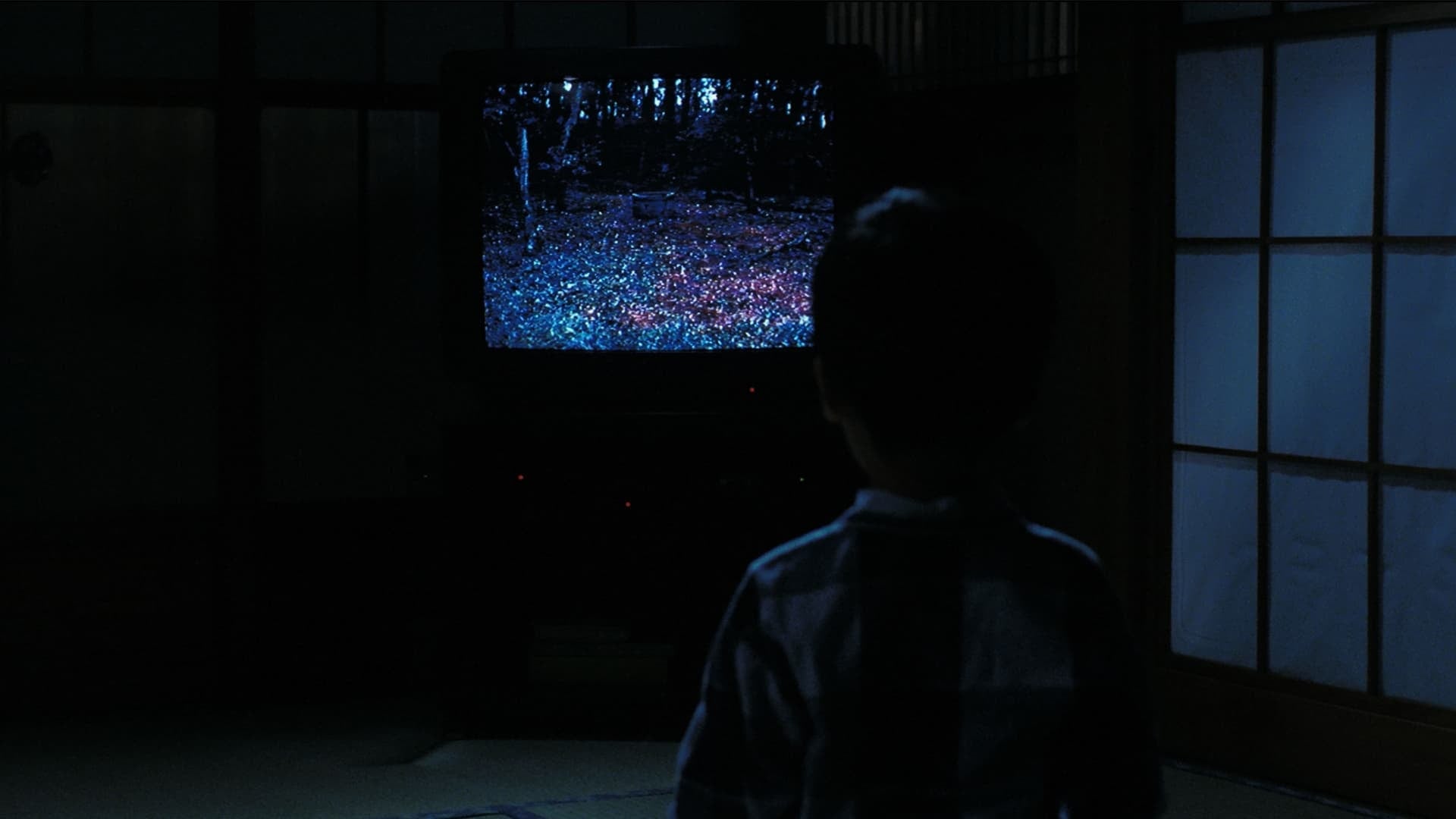 Foto do filme O Chamado