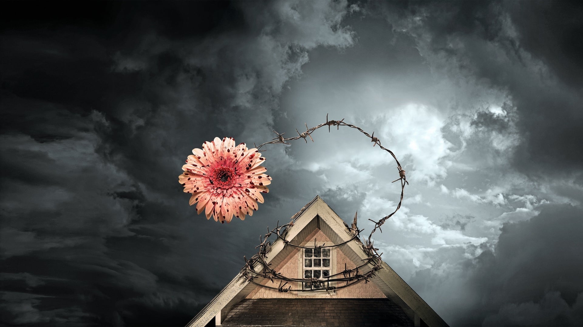 Foto do filme Pétalas ao Vento