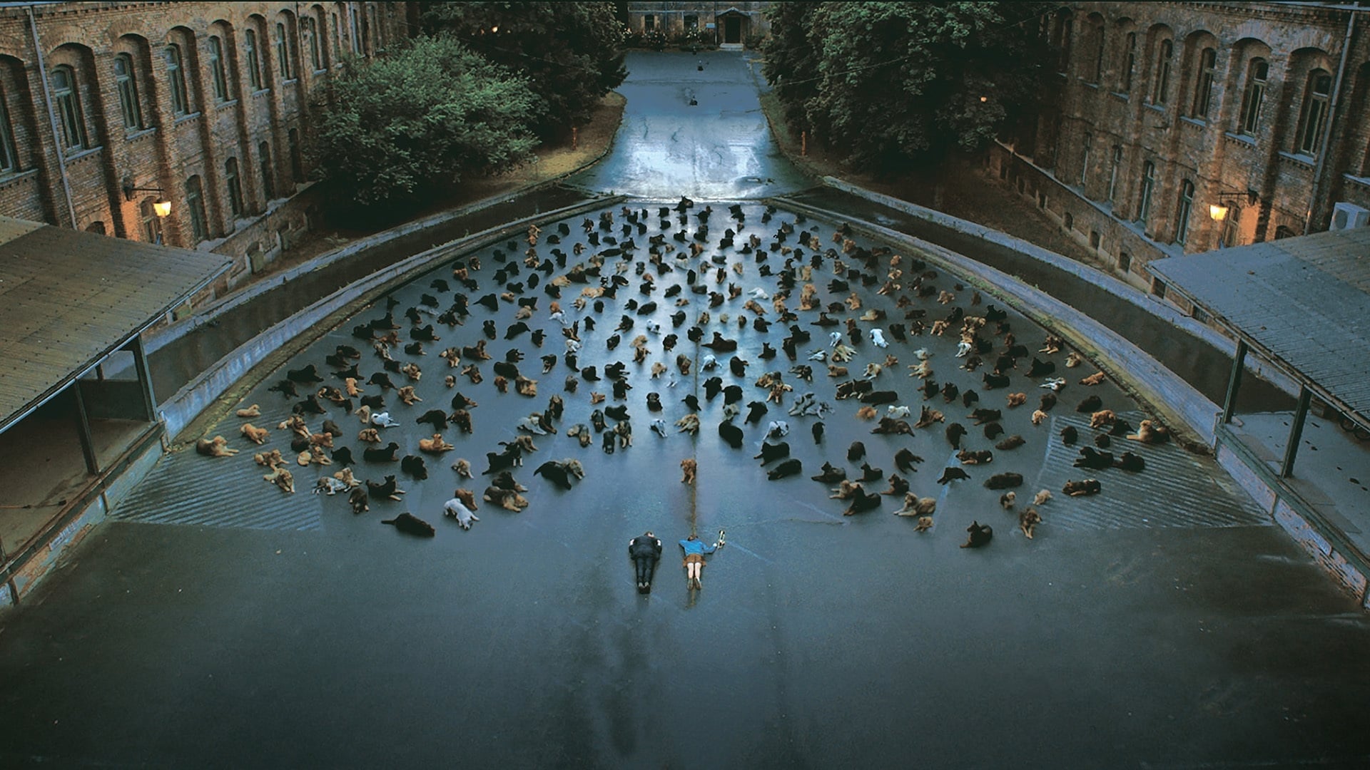 Foto do filme Deus Branco