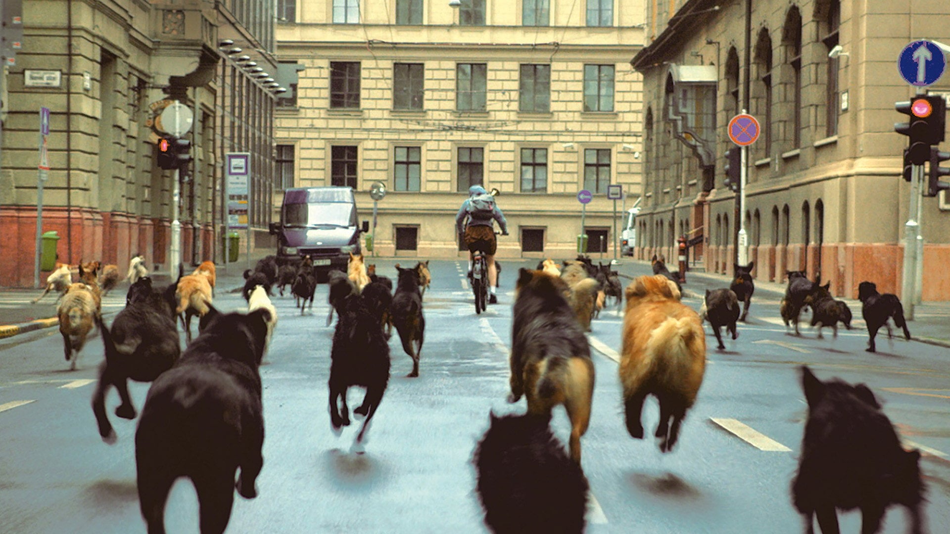 Foto do filme Deus Branco