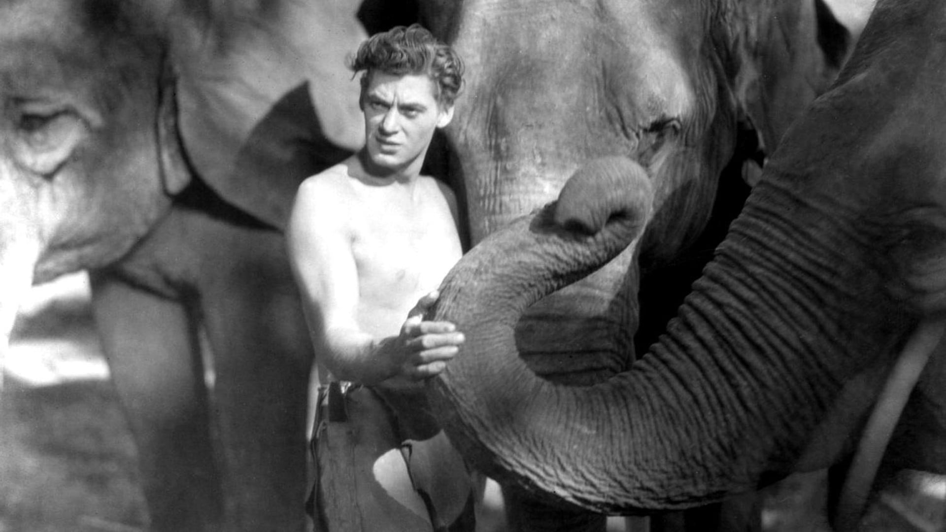 Foto do filme Tarzan - O Filho das Selvas