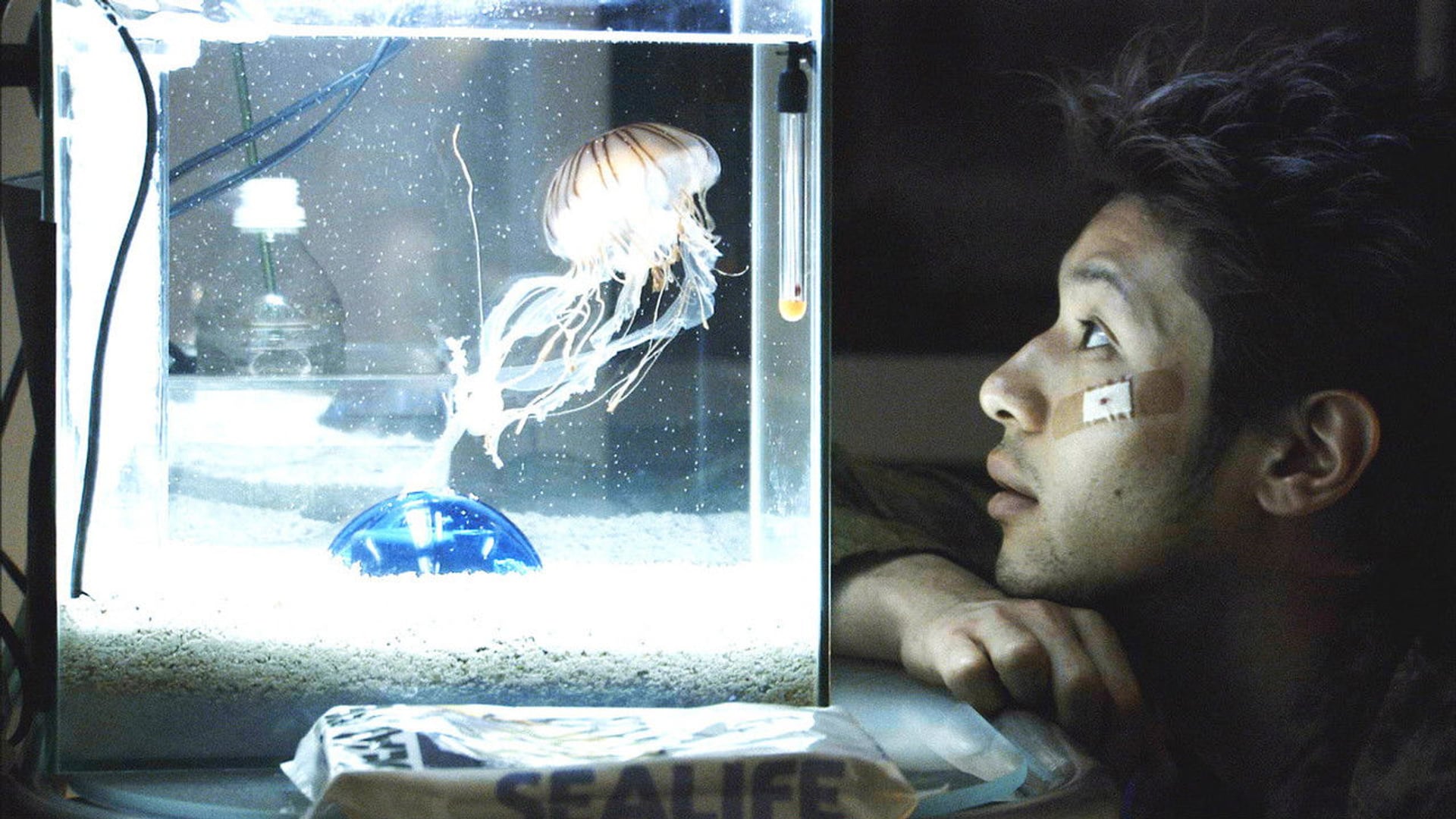 Foto do filme Bright Future