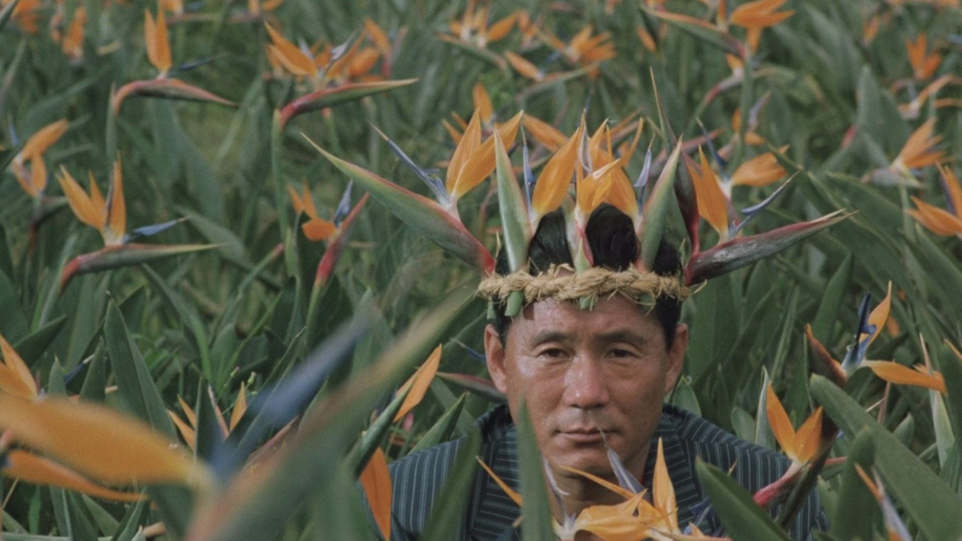 Foto do filme Ponto de Ebulição
