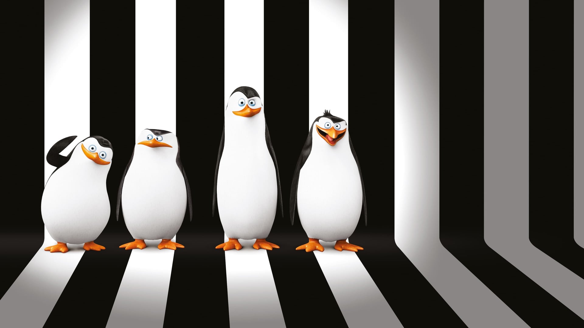 Foto do filme Os Pinguins de Madagascar: O Filme